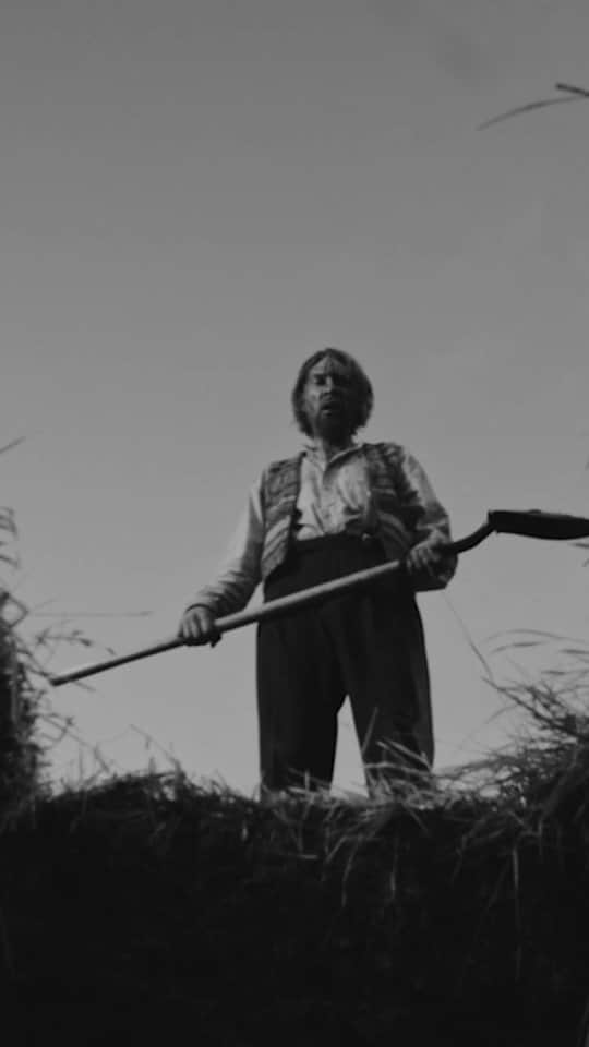 ホージアのインスタグラム：「I’m very proud to release this collaborative video for De Selby part 2 featuring the incredible Domhnall Gleeson, and directed by the great @wolfjamescreative.   Working together with such creative talents toward this piece was a pleasure, and I’m honoured that Domhnall Gleeson would bring his remarkable skills and this stunning performance to my work 🖤 (link in story)」