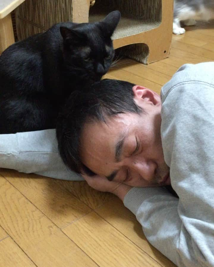 nemuru_catのインスタグラム：「#ベム#眠る夫#眠る妻  #黒猫感謝の日　🐈‍⬛  甘ったれ天然ボーイのベムつんです * #ねこ部#cat#neko#猫#catsofinstagram#ねこのいるくらし#黒猫」