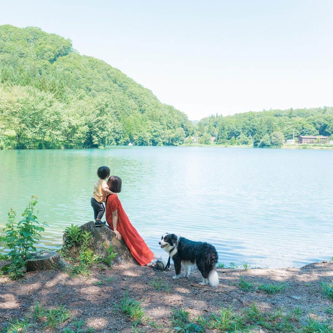 sorayuchiのインスタグラム：「・ #ソラ家の夏休み  長野県大町市にある青木湖に繋がっている小さな湖、中綱湖。  今までお隣の青木湖にはSUPをしによく行っていたのですが、今回は初めて中綱湖に行ってみました😊  こちらの中綱湖は、青木湖みたいにSUPなどの持ち込みはできないのですが、その分人が少なくて景観を楽しみたい人にとてもおすすめ✨  嘘みたいなエメラルドグリーンの湖畔は見ているだけで癒されました(*´꒳`*)  春は湖面に映る桜が絶景🌸 冬は凍結した湖面でワカサギ釣り🎣  #igersjp #igersoftheday #huntgramjapan #tokyocameraclub #東京カメラ部　#japan #日本　#長野　#中綱湖　#大町市 #ボーダーコリー　#犬と旅行  #写真好きな人と繋がりたい　#カメラ好きな人と繋がりたい　#写真撮ってる人と繋がりたい　#instagram #instagramjapan #fujifilm #gfx50r  #富士フィルム　 #フジフィルム」