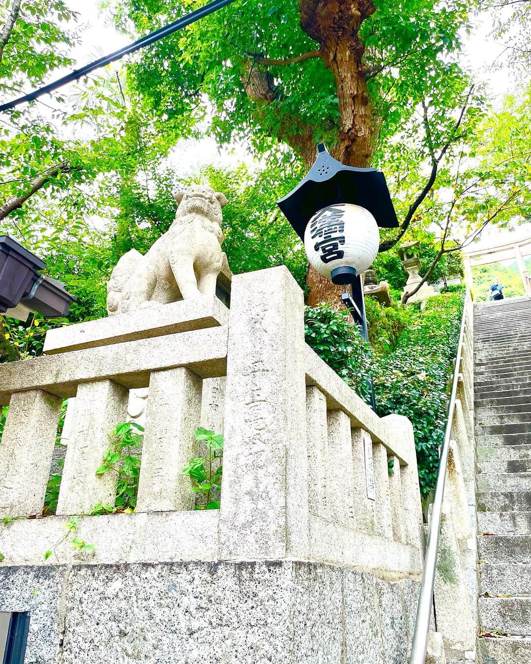 村主章枝さんのインスタグラム写真 - (村主章枝Instagram)「I also visited a shrine and pray. 神社にも御参り！ #神社巡り」8月17日 9時04分 - fumie.suguri