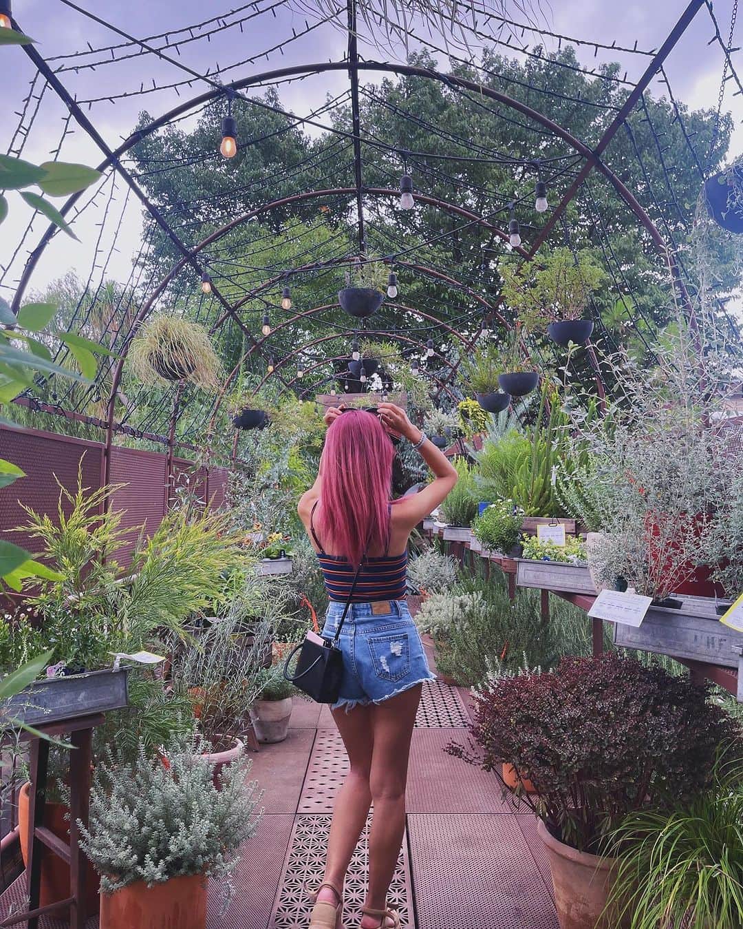 片桐舞子さんのインスタグラム写真 - (片桐舞子Instagram)「行ってみたかった観葉植物屋さん🪴🌳🌵  最近、お家にずっと欲しかったオーガスタをお迎えしまして、家空間が最高に幸せです♡  #観葉植物専門店 #グリーンのある暮らし #観葉植物インテリア #プロップスタイリスト #可愛い鉢がほしい #オーガスタ好き #ドラセナが欲しい」8月17日 9時31分 - mays_maiko