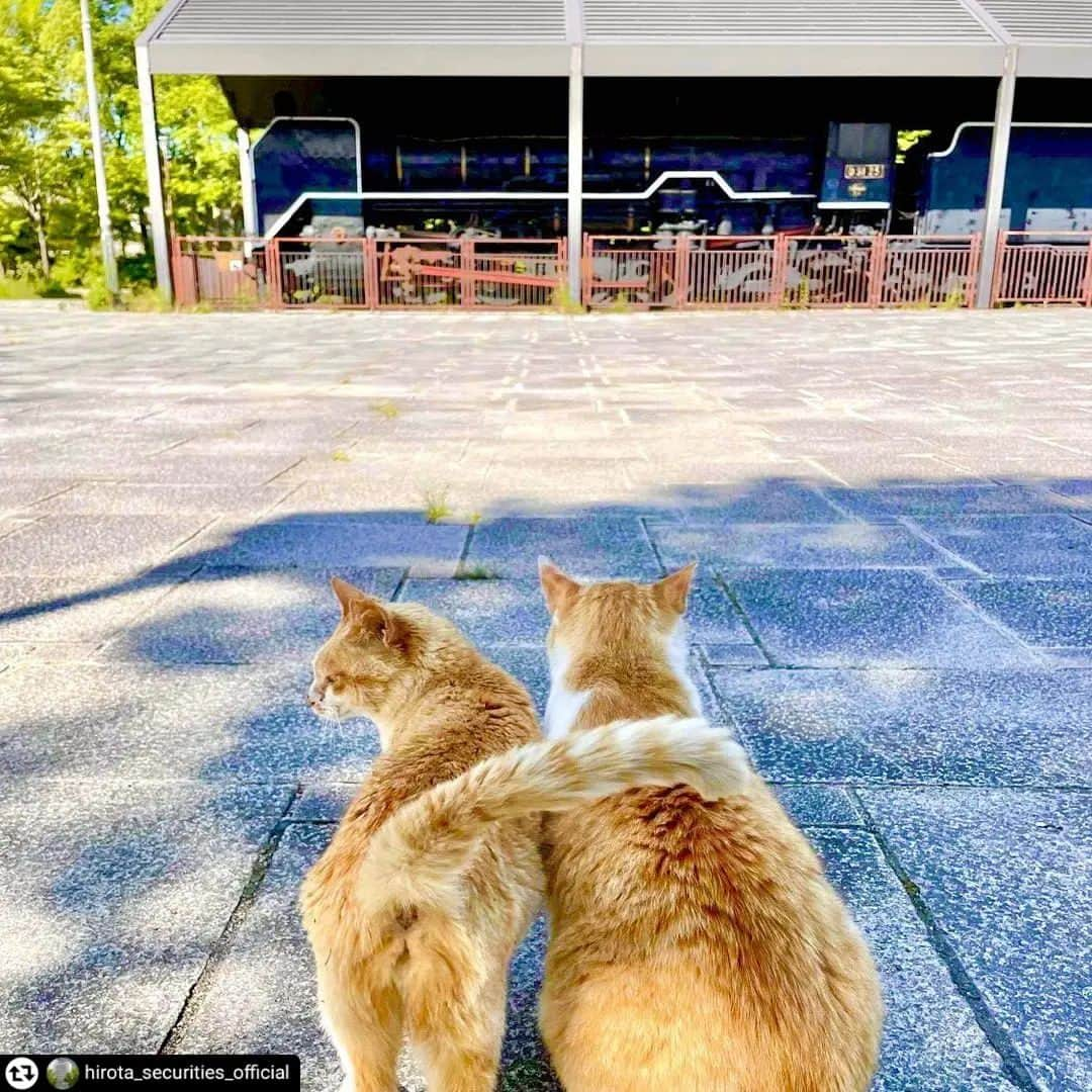 兵庫県のインスタグラム