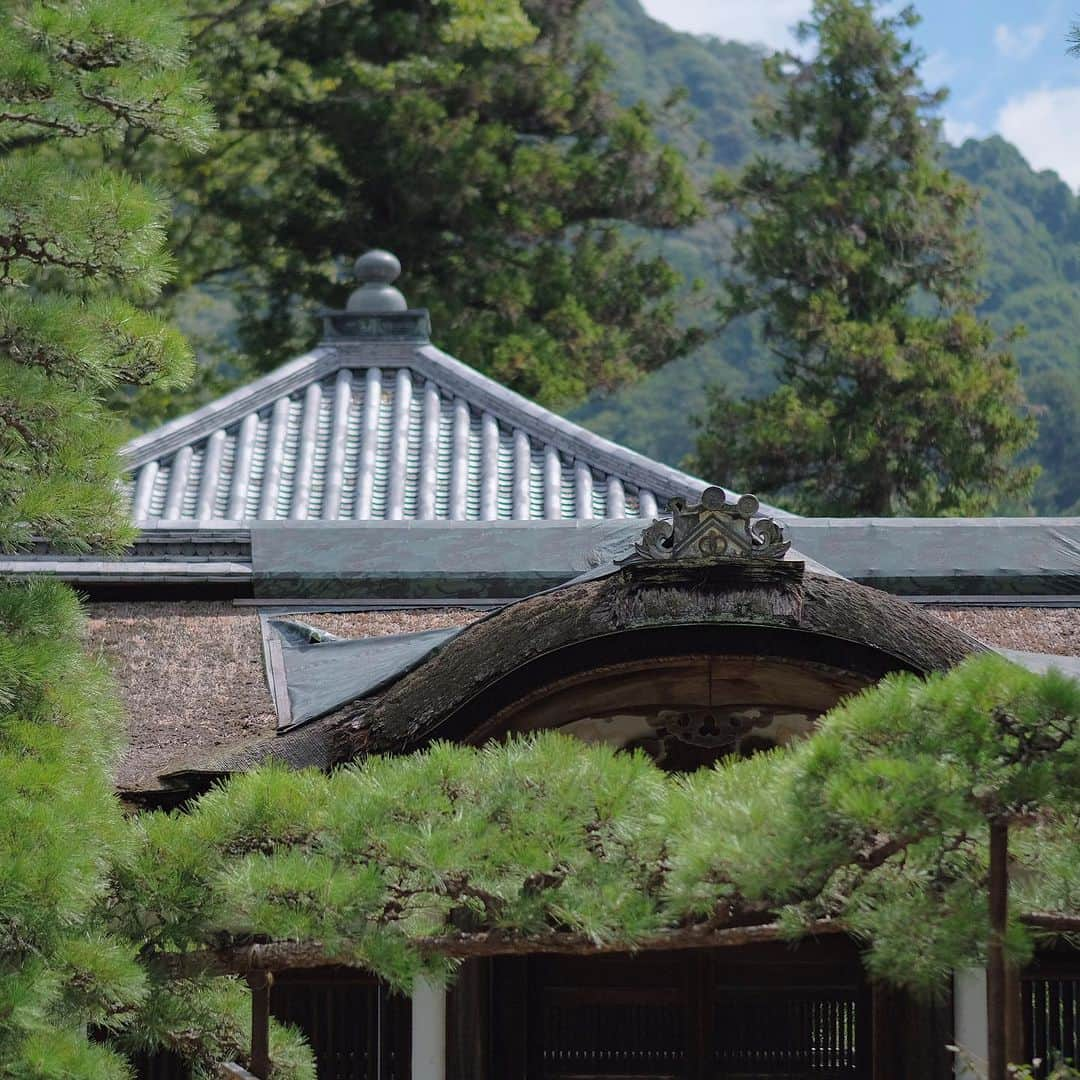 奈良 長谷寺 / nara hasederaさんのインスタグラム写真 - (奈良 長谷寺 / nara hasederaInstagram)「台風のため一時撤去した#風鈴 を戻しました。8月末日まで#風鈴回廊 は続きます。  台風通過によるご心配の声が沢山ありました。大変ありがたく思います。長谷寺は大過は有りませんでしたが、倒木がそこここでありました。撤去作業を進め通行できない箇所はありませんが、お参りの際は足元にご注意ください。  After the #typhoon passed, I returned to the status quo. The wind chimes are installed until the end of August.  #長谷寺 #奈良長谷寺 #総本山長谷寺 #真言宗豊山派 #花の御寺 #奈良 #hasedera #hasederatemple #temple #japan #japanesetraditional #pilgrimage #nara #tourism #sightseeing #japanesetemple #西国三十三所 #霊場 #巡礼 #四寺巡礼 #長谷寺が好き #日本遺産 #観音さんさんサイコク巡礼 #千年巡礼」8月17日 10時41分 - hase_dera