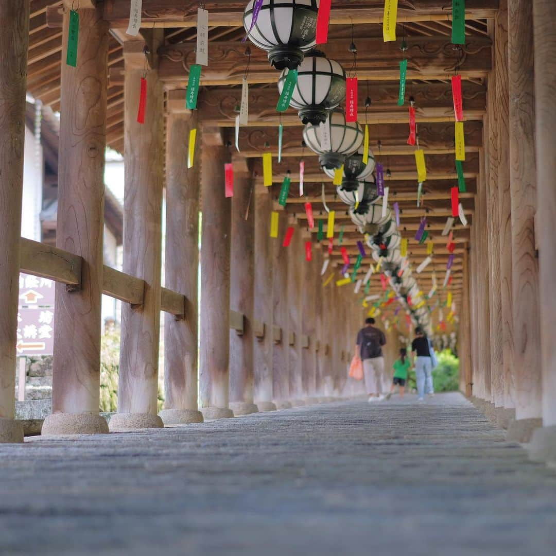 奈良 長谷寺 / nara hasederaのインスタグラム