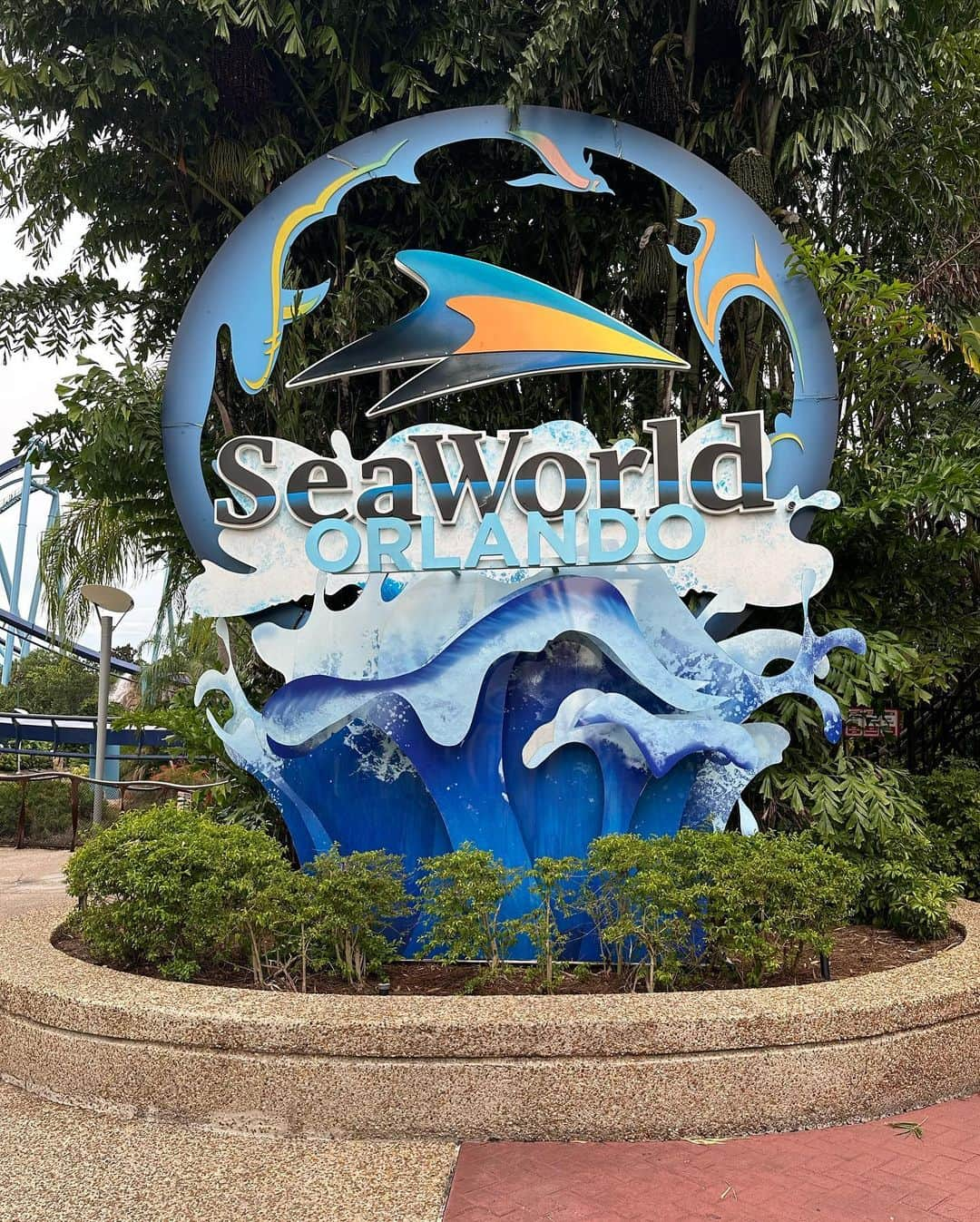 Donovan Carrillo Suazoさんのインスタグラム写真 - (Donovan Carrillo SuazoInstagram)「Catch me by the sea (world)  @experiencekissimmee  @seaworldorlando   #MyKissimmee #GetBold #SeaWorld」8月17日 10時52分 - donovandcarr