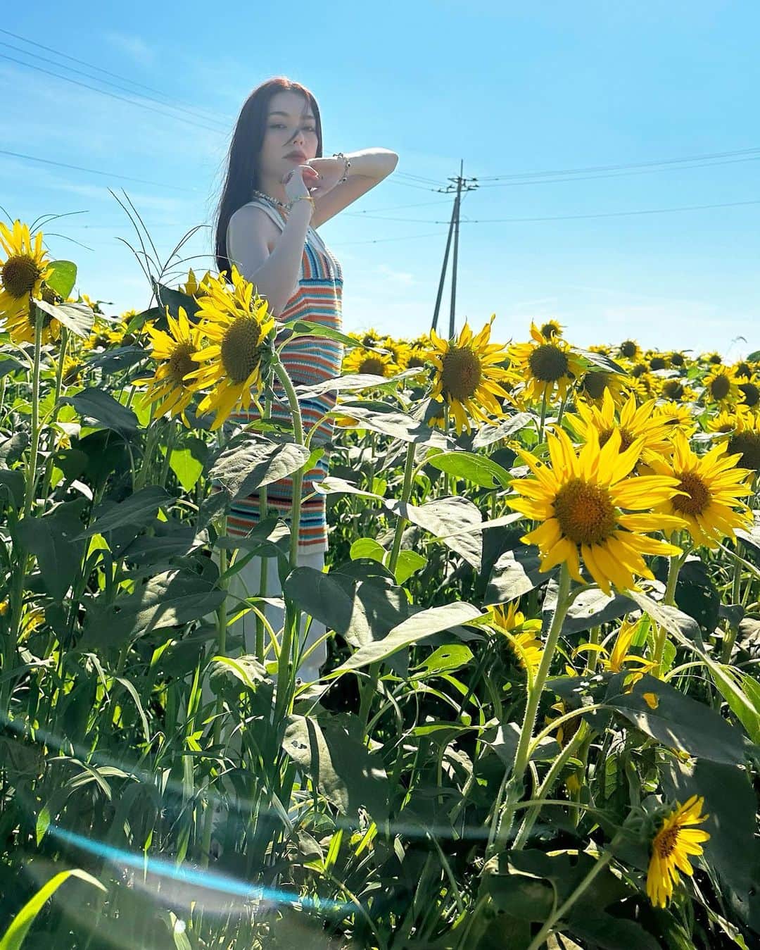 安田レイさんのインスタグラム写真 - (安田レイInstagram)「実はひまわり畑でした🌻🌻🌻  今年は夏を全身で感じてる！  去年の8月後半はコロナの記憶しかないな。。。  健康って素晴らしい〜  #sunflower #sunflowerfield #ひまわり　#ひまわり畑 #summervibes」8月17日 20時29分 - yasudarei