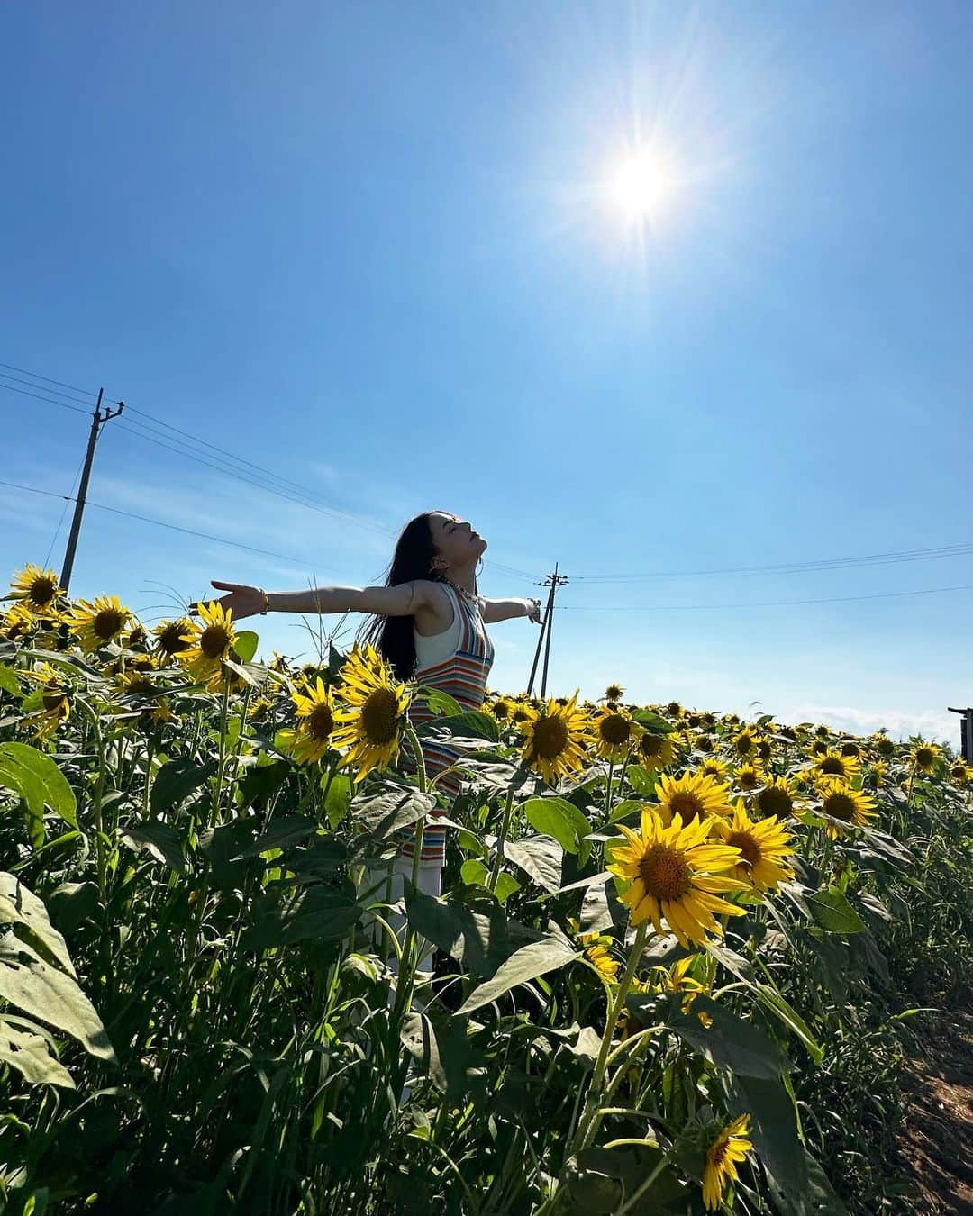 安田レイさんのインスタグラム写真 - (安田レイInstagram)「実はひまわり畑でした🌻🌻🌻  今年は夏を全身で感じてる！  去年の8月後半はコロナの記憶しかないな。。。  健康って素晴らしい〜  #sunflower #sunflowerfield #ひまわり　#ひまわり畑 #summervibes」8月17日 20時29分 - yasudarei