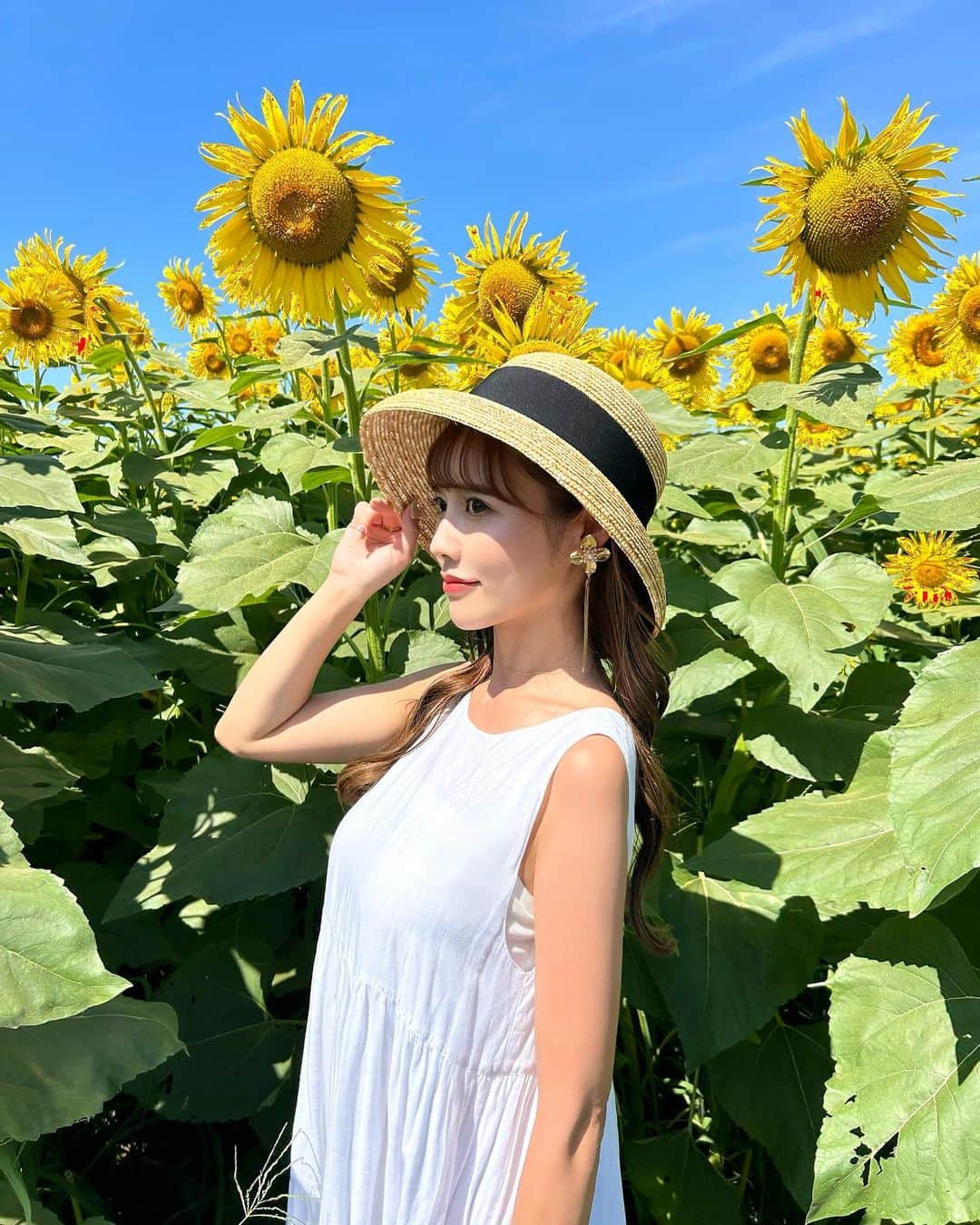 yurishonさんのインスタグラム写真 - (yurishonInstagram)「・ ⁡ 今年は初めてのひまわり畑にいってきた🌻✨ ⁡ 朝一のひまわりが1番綺麗に見えるから好き♡ ⁡ ⁡ ⁡ ⁡ #清瀬ひまわりフェスティバル#ひまわり畑#ひまわり#sunflower」8月17日 20時48分 - yurishon