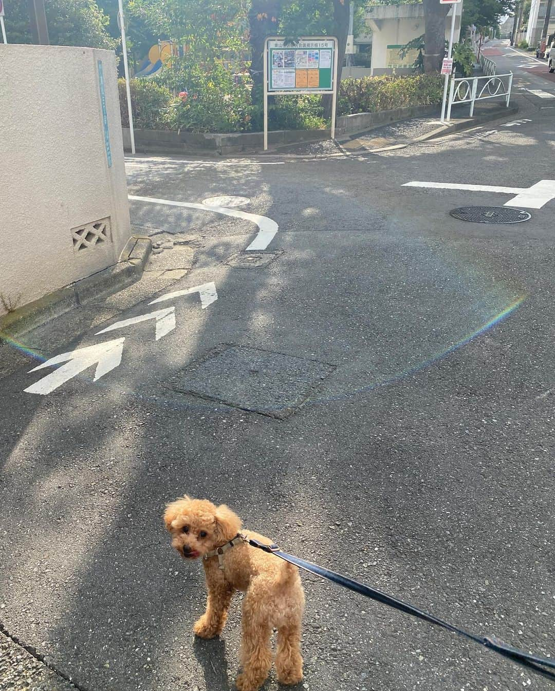 谷奥えり（えまえり）さんのインスタグラム写真 - (谷奥えり（えまえり）Instagram)「memories of summer🌺🌺  先日　@omotesando_medical_clinic へ  毎回悩みに合わせて施術して下さいます❤︎ 今回はピコフラクショナル ★マッサージピールとCICAパック  肌のトーンアップの為にコツコツと💪 この組み合わせお気に入り！！  #表参道メディカルクリニック」8月17日 20時48分 - eritanitani