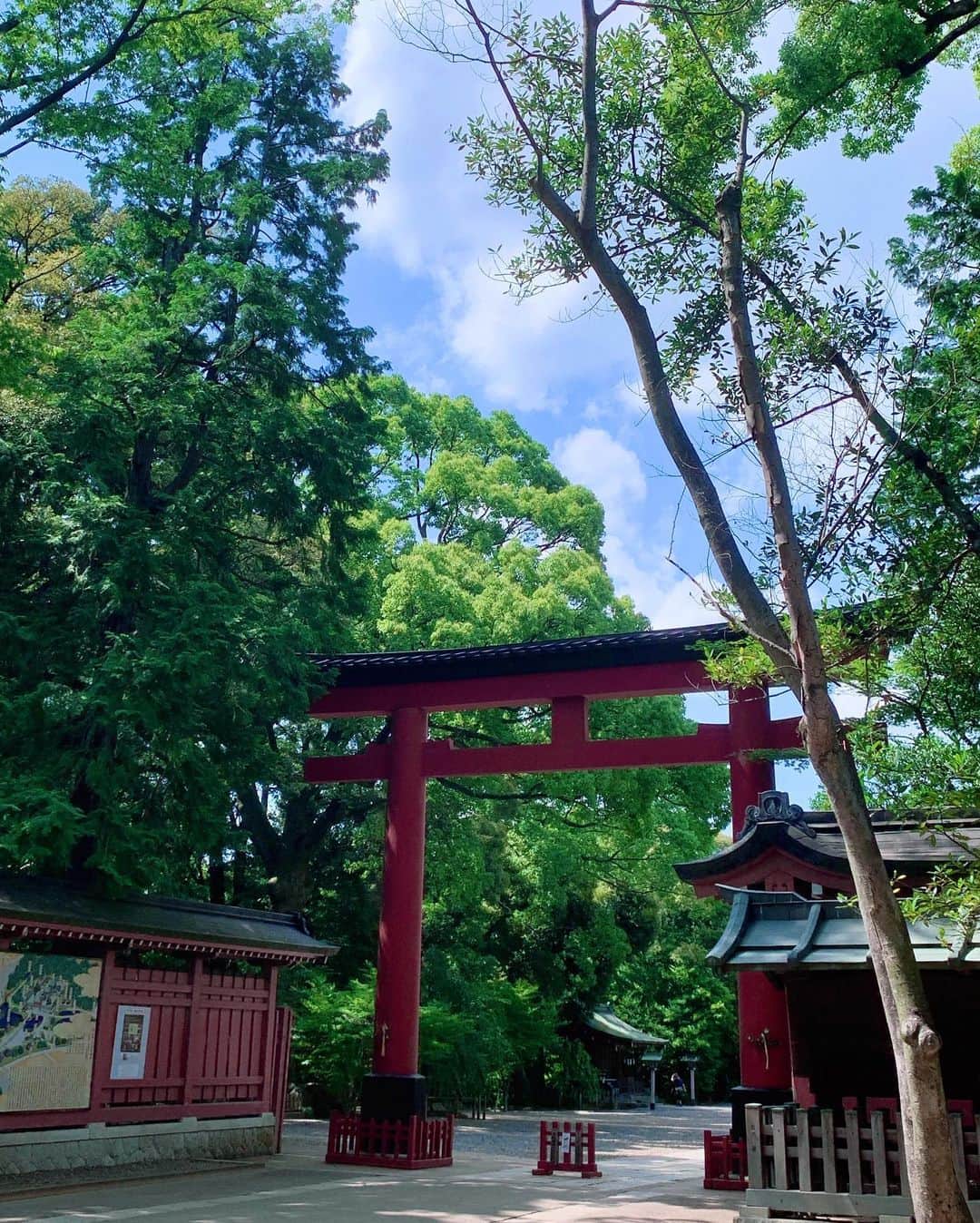 上野瞳さんのインスタグラム写真 - (上野瞳Instagram)「(1枚目眼鏡有り無し迷った🤣) 東京を離れ癒しスポットへ🫧 埼玉県大宮市にある"氷川神社"⛩ 初めて訪れましたが気が良すぎて 大好きな場所になりました🥰🥰 特に私は途中にある池に囲まれた神社が 好きでしたがあとから知った話ここの 池には龍神様がおられるみたい🤫💭 本殿側は風が抜けて気持ちよかった🙌  コーデは6月27日の投稿に載せた GRL×しまむらのプチプラ高見えコーデだよ！笑 眼鏡ありはこっちの投稿にしか載せていません🤫  今日も見てくれてありがとう🥰 @hitomi.8 フォローしてくれると嬉しいです💕  #氷川神社 #大宮駅 #パワースポット #癒しの空間 #癒し動画 #神社巡り #神社仏閣 #神社仏閣巡り #黒コーデ #ブラックコーデ #めがね女子 #メガネコーデ #メガネ女子 #スニーカーコーデ #スニーカー女子 #しまむらコーデ #しまむら購入品 #grl #グレイル @grl_official @grshimamura @prada @zoff_eyewear」8月17日 20時59分 - hitomi.8