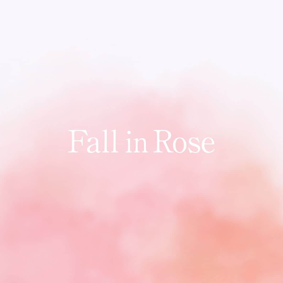 ジョンマスターオーガニックさんのインスタグラム写真 - (ジョンマスターオーガニックInstagram)「. Fall in Rose  晩夏に訪れる 新しい季節の気配とともに  優雅なダマスクローズの香りと 潤いで満たされる癒しのバスタイムを過ごしてみては  8.17 debut R＆Gシャンプー ローズ  #johnmastersorganics #ジョンマスターオーガニック  #sustainable #シャンプー #オーガニックコスメ #ヘアケア #アロマ #サステナビリティ #バスタイムルーティン #スキャルプケア #乾燥 #潤い #乾燥対策 #地球に敬意を #香りのある暮らし #ローズ #秋ヘアケア #色落ちいないシャンプー #ヘアカラー持ち #秋抜け毛 #紫外線髪の毛 #髪ダメージケア #傷んだ髪自宅ケア #バスタイム #ゆらぎ髪シャンプー」8月17日 21時00分 - johnmastersorganics_japan