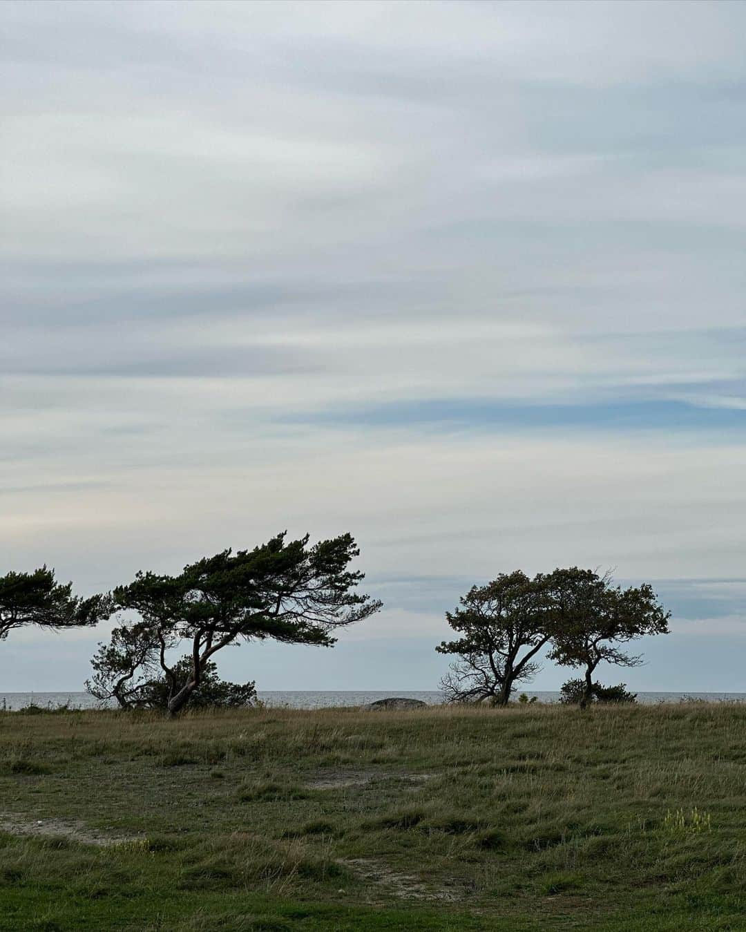 カロリーナ・イングマンさんのインスタグラム写真 - (カロリーナ・イングマンInstagram)「Gotland 🤍」8月17日 21時21分 - carolinastorm