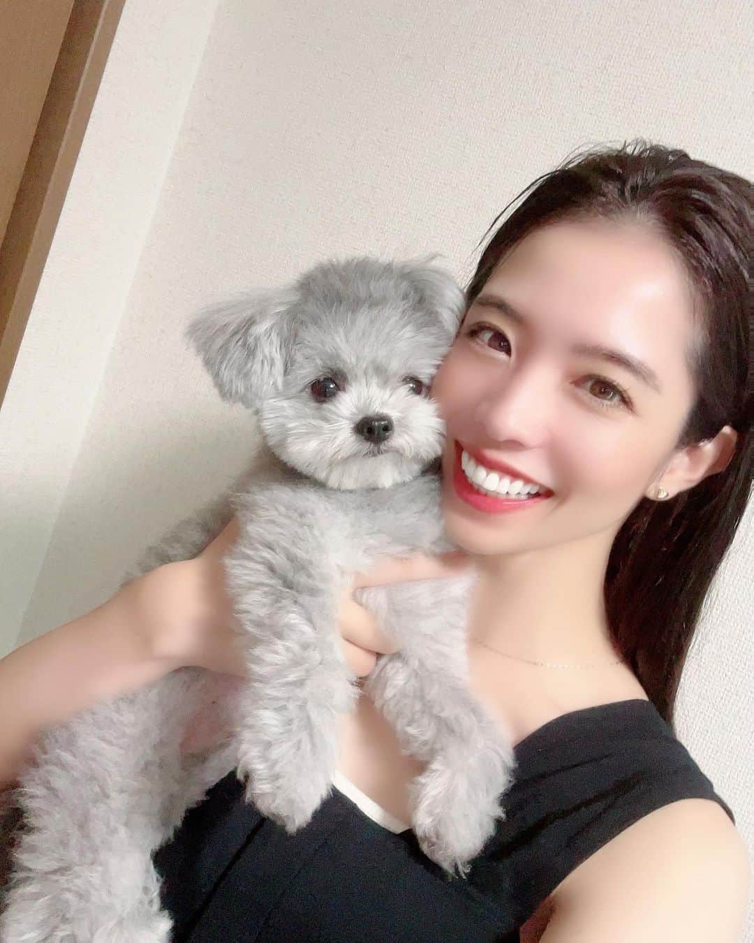 浦田麻緖のインスタグラム：「めっちゃ笑顔の私と無表情な鰻さん。((´ϖ｀*))ヶﾗヶﾗ🤣🤣🤣   #鰻さん  #ポメプー  #2キロ  #うなぎのぼり  #犬  #doginstagram   #愛犬  #神経質なイヌ」