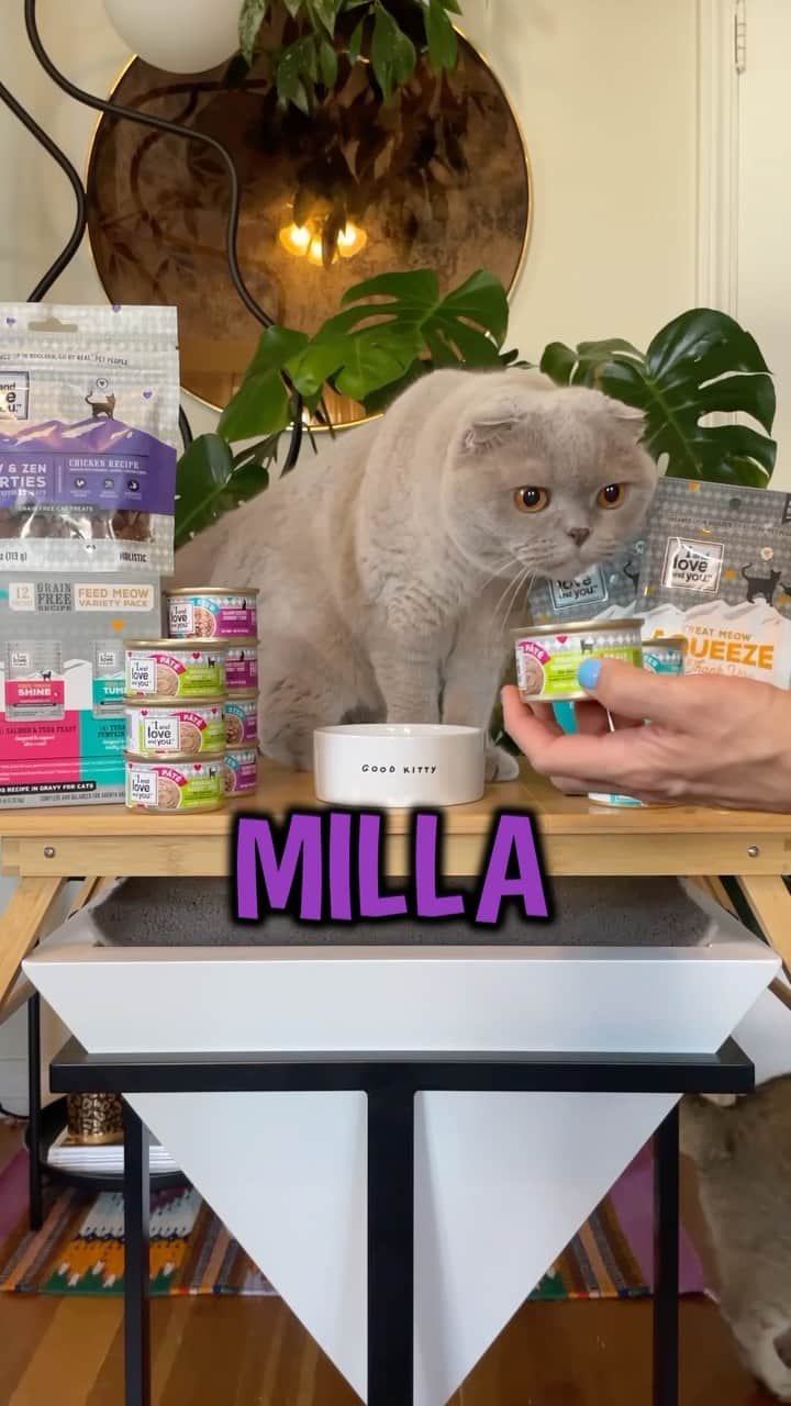 Millaのインスタグラム：「Tuna, Salmon, Rabbit! OH MY! 🙀 Time for a @iandloveandyoupet taste test for our cat crew. Did they pass the test with our picky little eaters❓ #iandloveandyoupet #MillaTheCat #MrKubrickCat #WinonaCat」