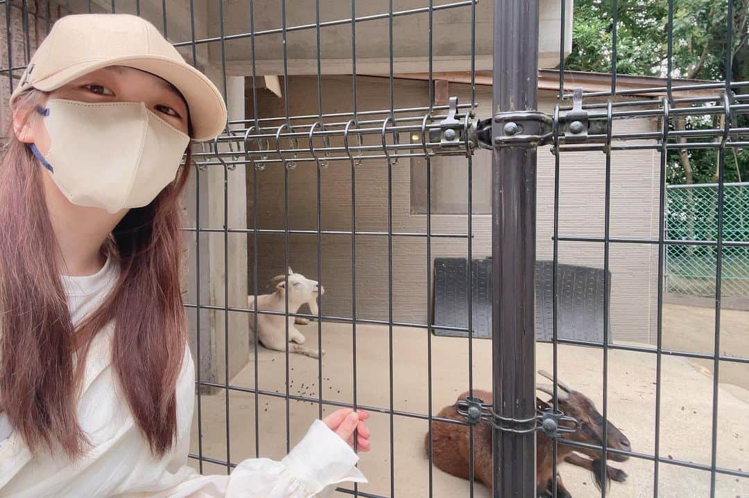 与田祐希さんのインスタグラム写真 - (与田祐希Instagram)「大阪で食べた杏のかき氷と 1年ぶりに行けた五月山動物園と 共同生活中の猫と母と私🎐」8月17日 13時47分 - yodayuuki_oimo