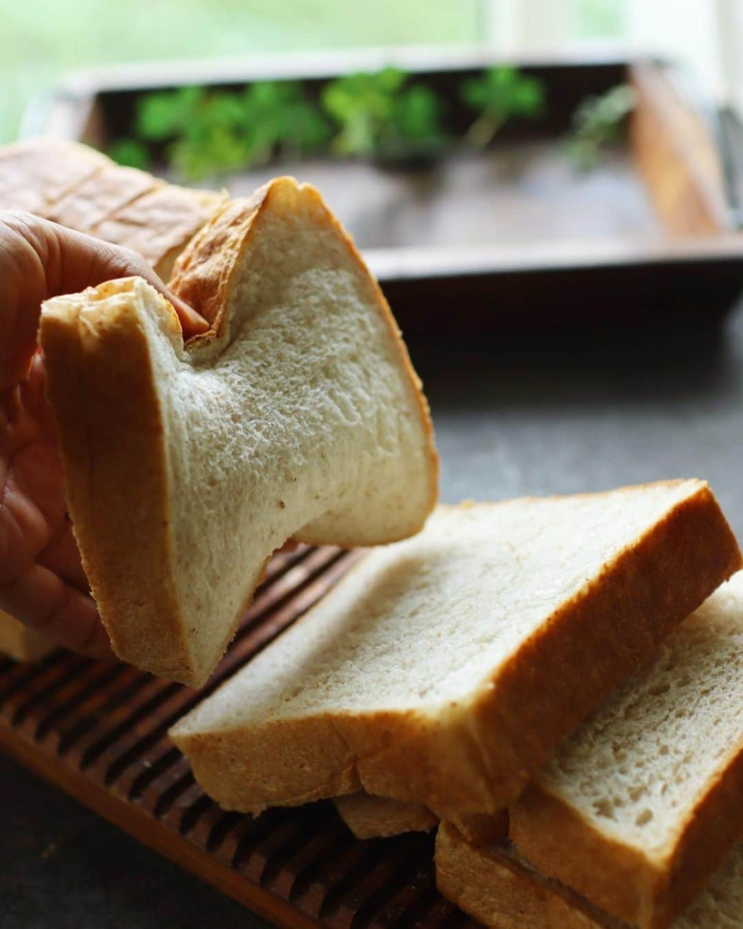 maiのインスタグラム：「2023年8月17日  🎶極柔らかい角食パン🎶  まだ粉があるので あすもやわら＋北海道全粒粉で。  あすもが300g 全粒粉が100g  全粒粉といっても 粉が多いタイプなので このくらい入れても変わらず ふわふわしっとり💚  大きめの1.5斤を8枚切りに しています。  あすもやわらなので ずっと柔らかいのですが、 この時期は2日分だけ残して あとは冷凍保存にしてます。  ざっくり歯切れの良い トーストの朝食は ぜーんぜん飽きが来ない😊🍞  #あすもやわら #北海道全粒粉 #やわやわ #やわらかパン #お菓子教室 #ミルガトー」