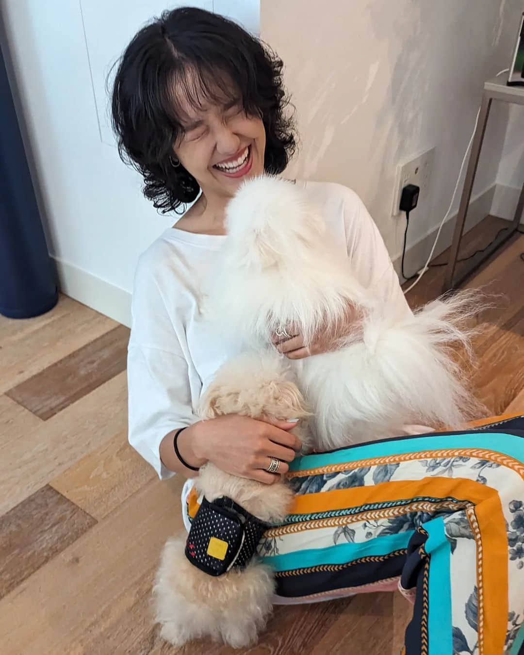 のインスタグラム：「戯れ☁🐾💓」