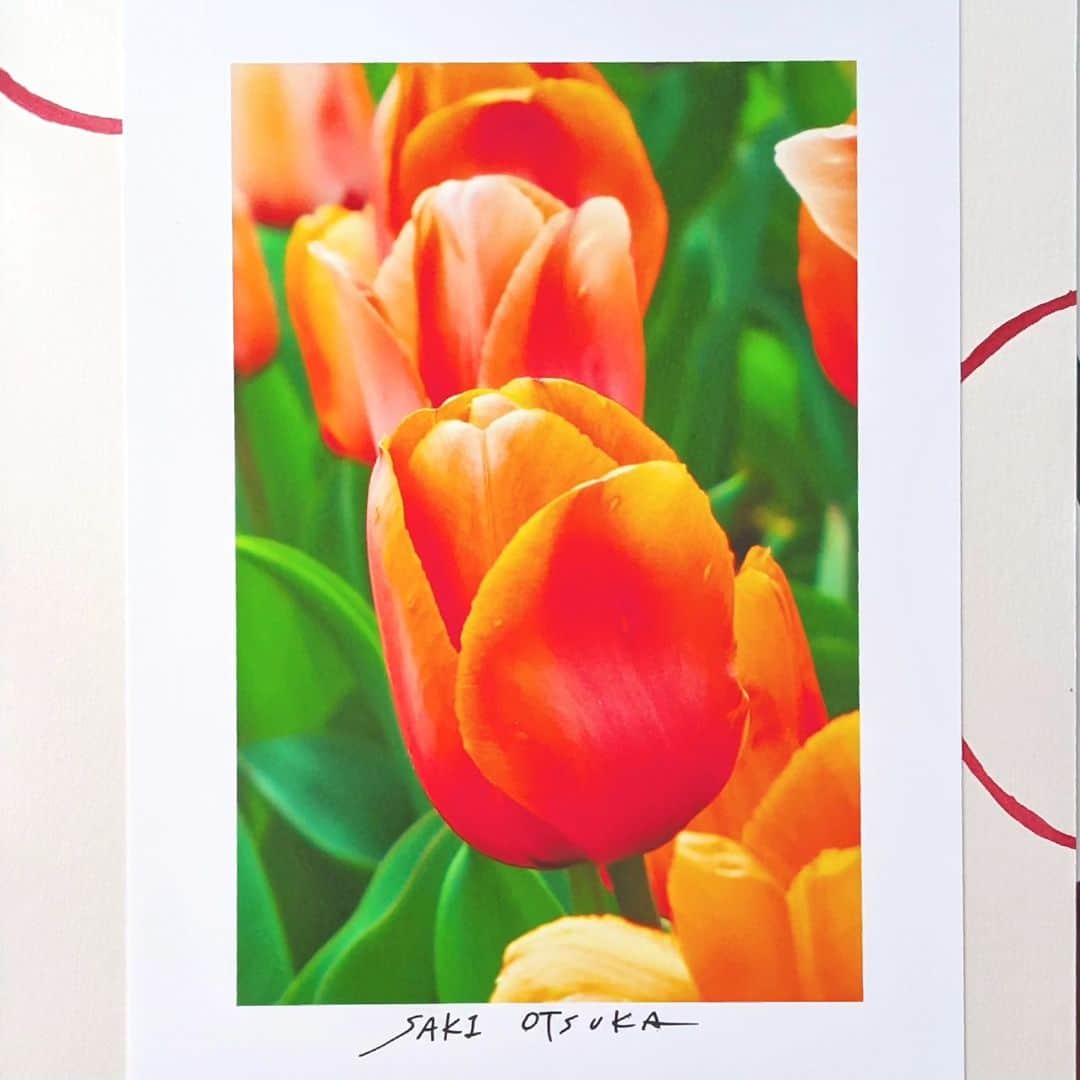 大塚咲のインスタグラム：「@jinny.gallery  9/1まで」