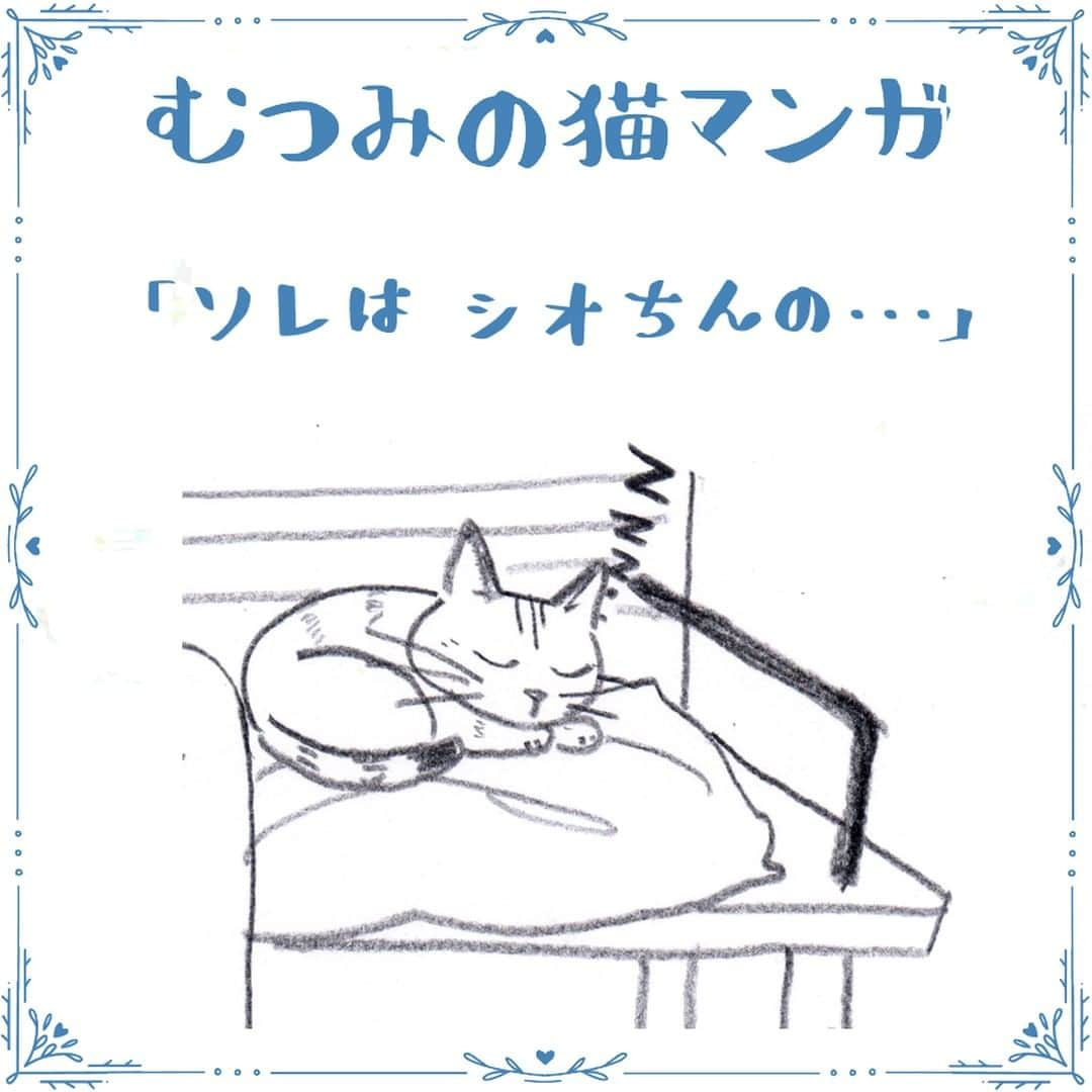 いのうえむつみのインスタグラム：「たまに１粒落ちてます。 昨日は食卓テーブルの下に落ちてて、踏んだ…。  #タレシオまんが  #猫マンガ  ーーーーーーーー  【😽猫さんアート・オーダー受付中⭐️】 オーダーは、プロフィール欄のリンクツリー、「アートショップ」よりお申し込みくださいませ。  (猫さん以外をご希望の方はDMからご相談下さいませ😃)  現在３サイズ扱っています。 それぞれ内容も異なりますので、詳しくはアートショップでご確認下さい。 「お気に入りのオモチャなど一緒に描いて欲しい」等、ご希望ある方はDMからお問い合わせお願いいたします。(追加料金となる場合があります)  お誕生日、うちの子記念日など、「この日に間に合うように」と言うご希望がある場合は、お早めにご依頼くださいませ💕 ２ヶ月くらい余裕を持ってオーダーいただけると嬉しいです😃  #watercolourpainting #色鉛筆 #猫 #ねこ #ネコ #cat #catart #art 水彩 #にゃんすたぐらむ　#にゃんこ #ねこすたぐらむ #保護猫　#ねこのいる生活 #ねこ部 #catstagram #instacat #meow #猫グッズ #いのうえむつみ #mutsumiinoue #illustration #猫イラスト #シオちん #シャムミックス #タレちゃん #キジトラ」