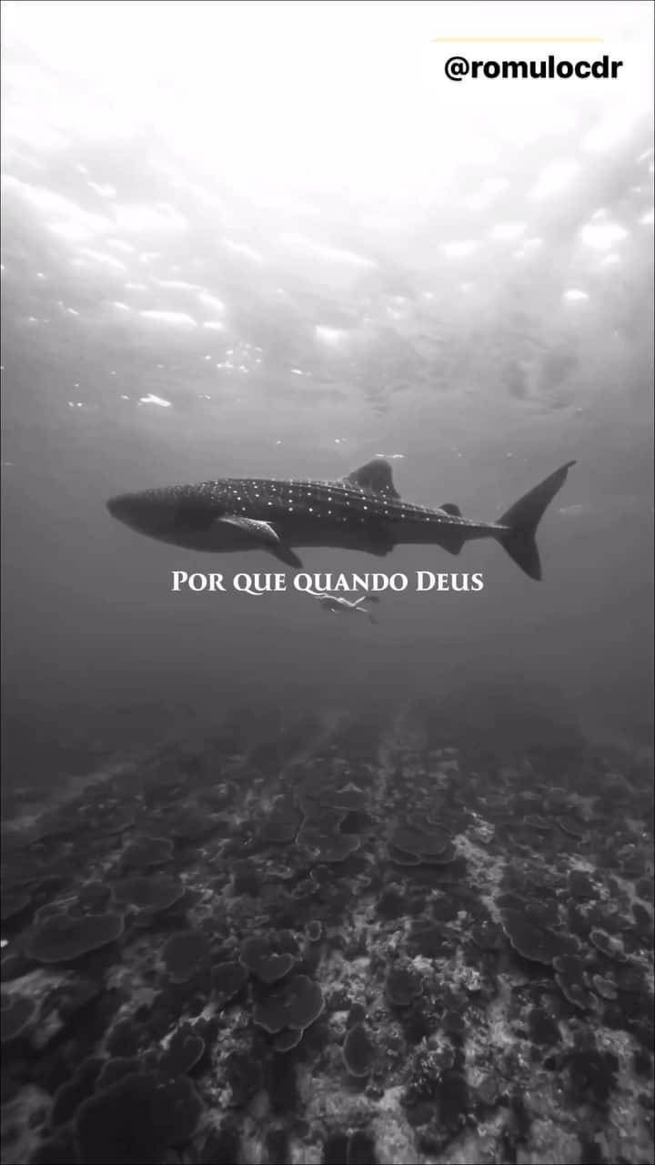 ロムロ・ソウザ・オレステス・カルデイラのインスタグラム：「Reflexão 🧠  #Romulo #Deus #Refelxão #Criação #Creation #Vida」
