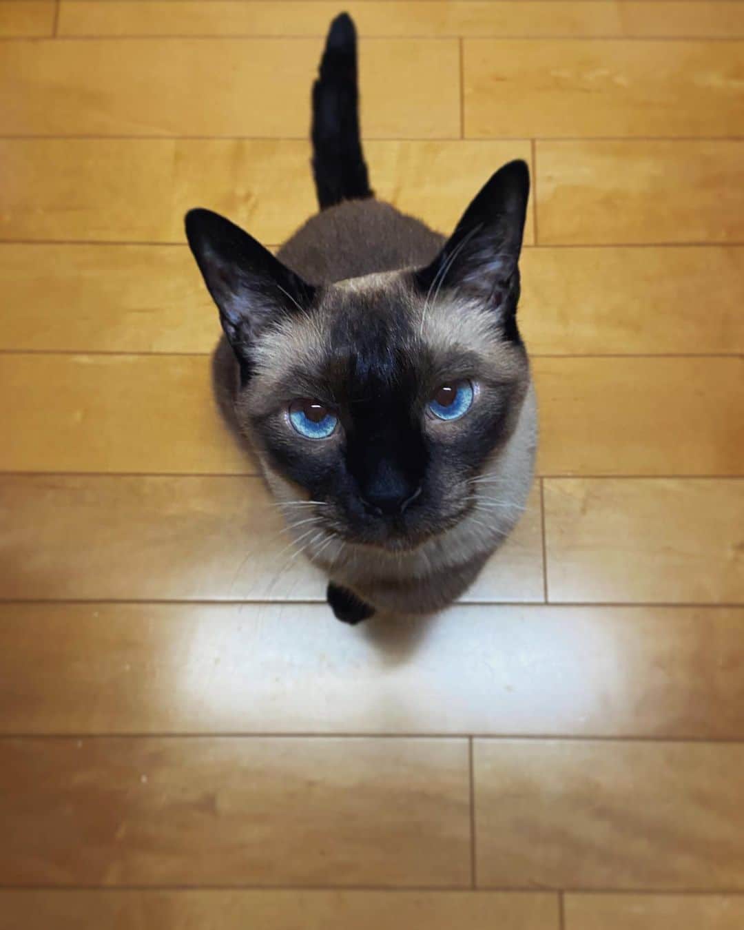 kuu−neruのインスタグラム