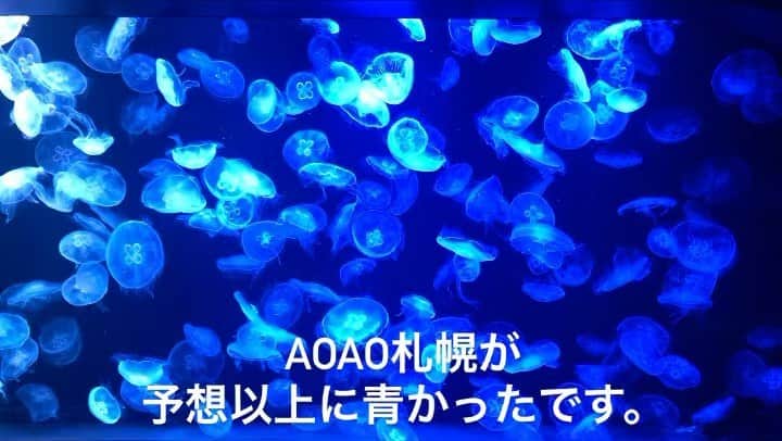岡田和樹のインスタグラム：「AOAO札幌 初めて行きました。🐧 めっちゃ青かったです🤔 #aoaosapporo  #モユクサッポロ  #水族館  #クラゲ  #海  #青 #blue」