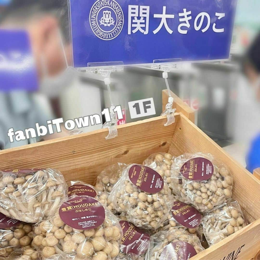 ファンビ寺内 (fanbi) のインスタグラム