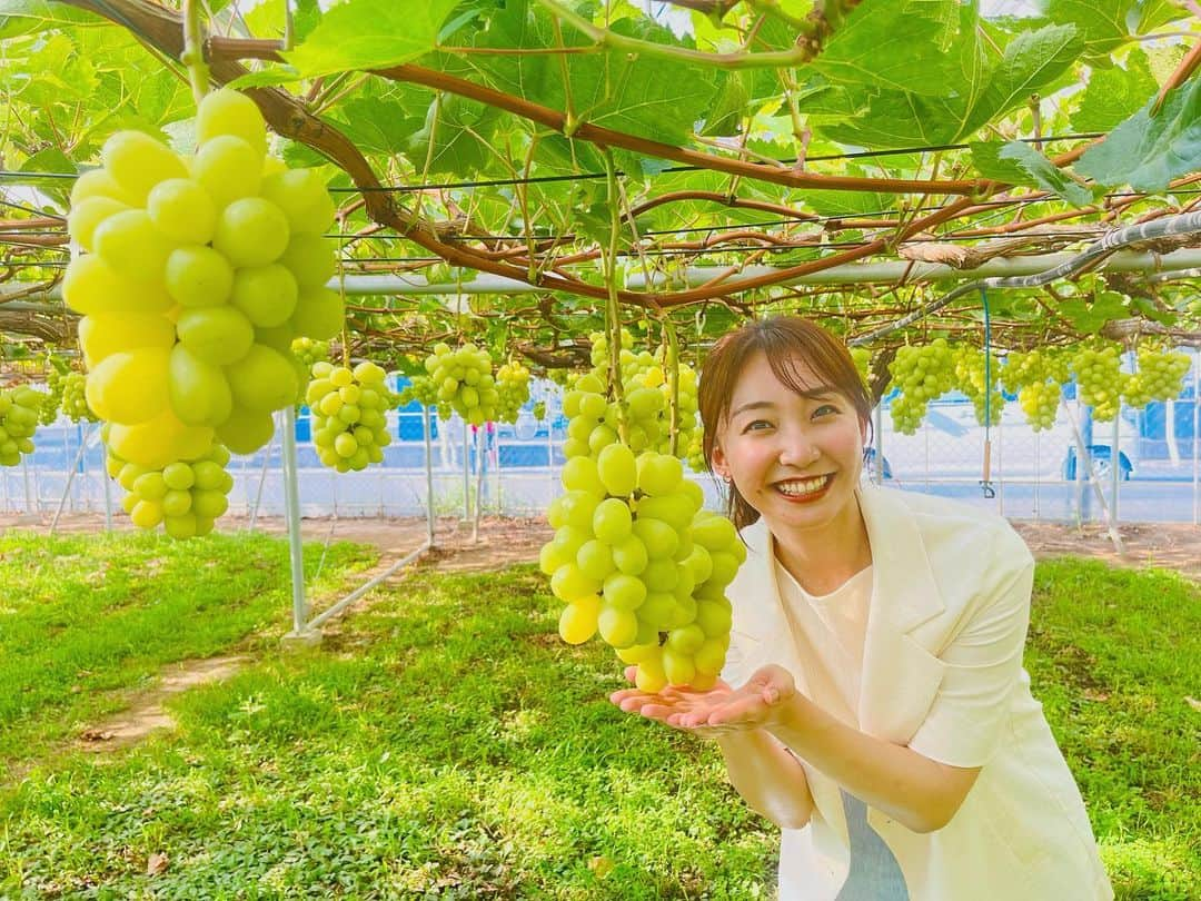 杉原凜のインスタグラム：「さいたま市の山田ぶどう園さんにおじゃましました🤲🍇 中継内で紹介したぶどうがどれも最高に美味しかったので自分用にメモ…📝 #雄宝  #クイーンセブン  #天山  また食べたい〜🤤  #ZIP #NOWニッポン #19  #ぶどう #シャインマスカット   👗#amerivintage  #ropepicnic  #LILLIANCARAT」