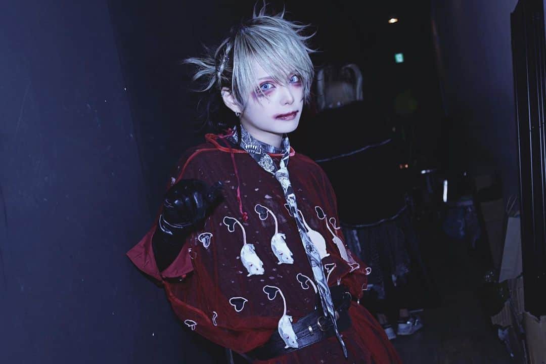 マヨイ・ディスコニックのインスタグラム：「photo by @cka.livephoto」