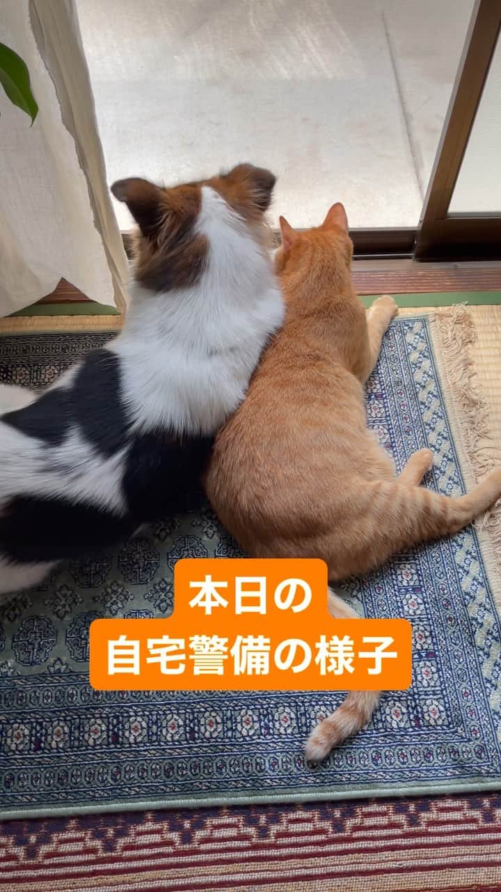 naomiのインスタグラム