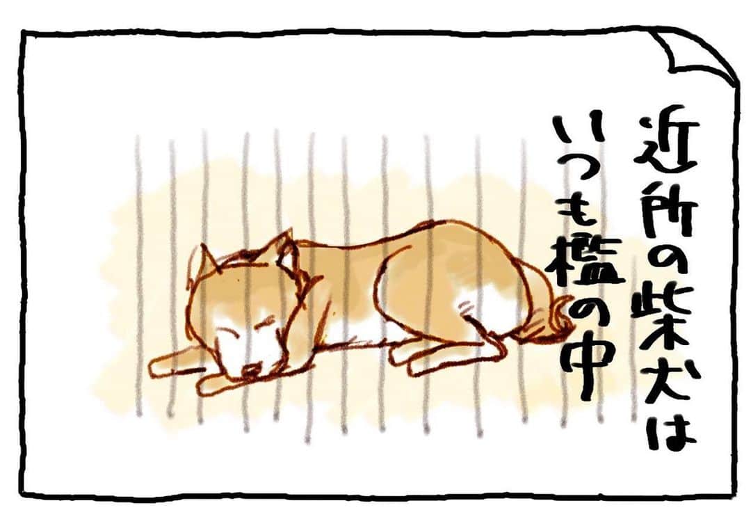 てらりんのインスタグラム：「13年前に描いてた4コマが出てきたので貧乏性なので出しちゃいます。  『近所の犬』   #4コマ #愚者の4コマ」