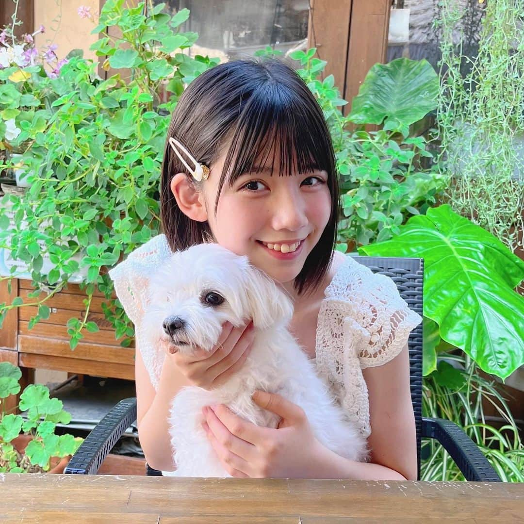 伊藤沙音さんのインスタグラム写真 - (伊藤沙音Instagram)「🧁🐶  伊豆高原のCafe行ったよ🐶🍴  もふもふピノとパシャリ！📷´-  ランチは何を食べたでしょ~？🫶 @kennyshousecafe   今日もInstagram遊びに来てくれてありがとう🎀  ∴ ୨୧ ∴∵∴ ୨୧ ∴∵∴ ୨୧ ∴∴ ୨୧ ∴∵∴ ୨୧ ∴∴ ୨୧ ∴∵∴ ୨୧ ∴ 8月20日（日）11時〜インスタライブします🩷 みんな遊びに来てくれるの楽しみにしてます！   #伊藤沙音 #シャノン#伊豆高原 #家族旅行   #ニコラ #nicola #ニコモ #ニコラ9月号発売中  #ノーマルカメラ#マルチーズ#もふもふ犬」8月17日 18時44分 - shannon_ito_official