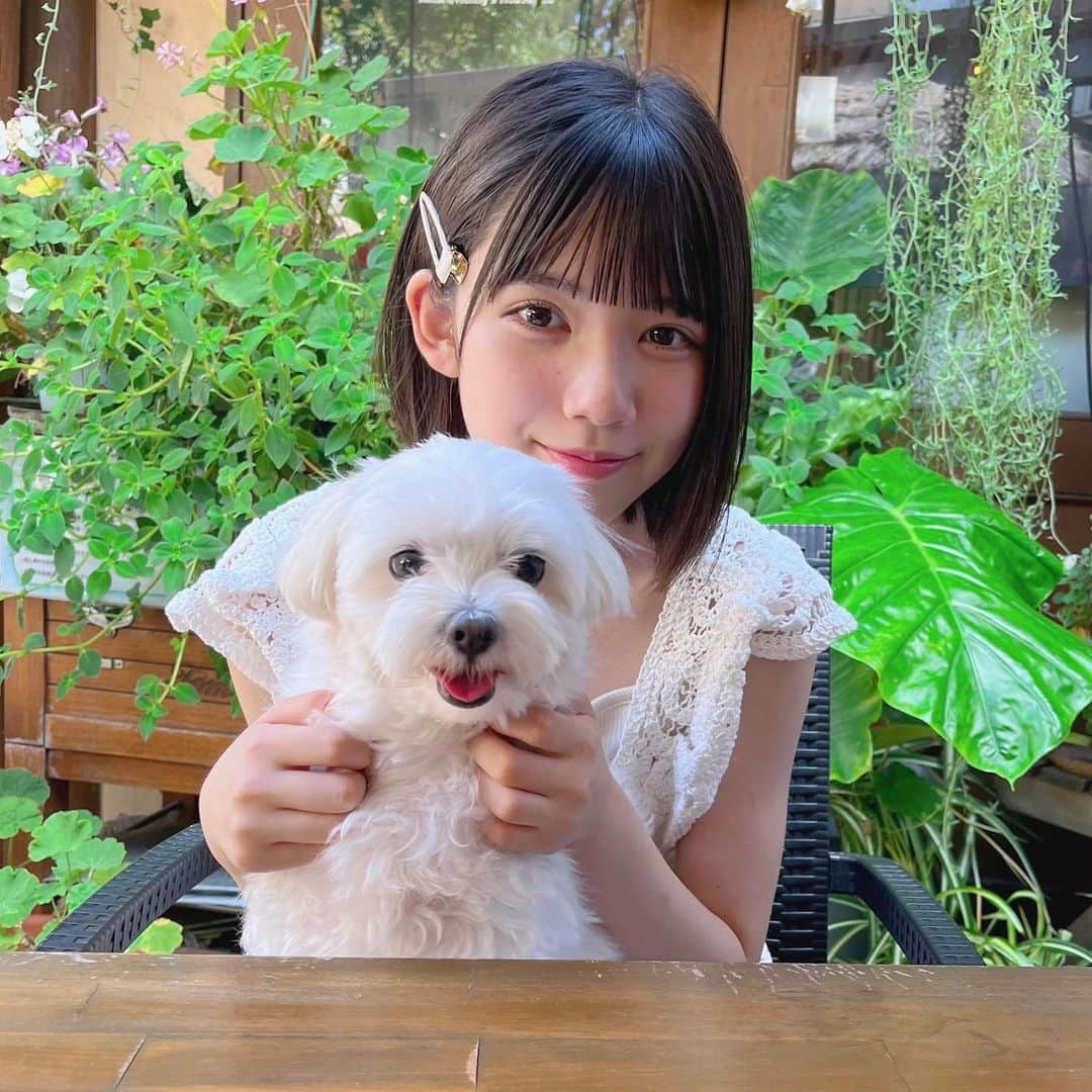 伊藤沙音さんのインスタグラム写真 - (伊藤沙音Instagram)「🧁🐶  伊豆高原のCafe行ったよ🐶🍴  もふもふピノとパシャリ！📷´-  ランチは何を食べたでしょ~？🫶 @kennyshousecafe   今日もInstagram遊びに来てくれてありがとう🎀  ∴ ୨୧ ∴∵∴ ୨୧ ∴∵∴ ୨୧ ∴∴ ୨୧ ∴∵∴ ୨୧ ∴∴ ୨୧ ∴∵∴ ୨୧ ∴ 8月20日（日）11時〜インスタライブします🩷 みんな遊びに来てくれるの楽しみにしてます！   #伊藤沙音 #シャノン#伊豆高原 #家族旅行   #ニコラ #nicola #ニコモ #ニコラ9月号発売中  #ノーマルカメラ#マルチーズ#もふもふ犬」8月17日 18時44分 - shannon_ito_official