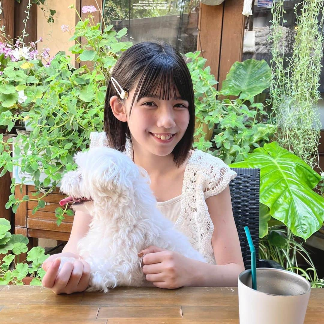 伊藤沙音さんのインスタグラム写真 - (伊藤沙音Instagram)「🧁🐶  伊豆高原のCafe行ったよ🐶🍴  もふもふピノとパシャリ！📷´-  ランチは何を食べたでしょ~？🫶 @kennyshousecafe   今日もInstagram遊びに来てくれてありがとう🎀  ∴ ୨୧ ∴∵∴ ୨୧ ∴∵∴ ୨୧ ∴∴ ୨୧ ∴∵∴ ୨୧ ∴∴ ୨୧ ∴∵∴ ୨୧ ∴ 8月20日（日）11時〜インスタライブします🩷 みんな遊びに来てくれるの楽しみにしてます！   #伊藤沙音 #シャノン#伊豆高原 #家族旅行   #ニコラ #nicola #ニコモ #ニコラ9月号発売中  #ノーマルカメラ#マルチーズ#もふもふ犬」8月17日 18時44分 - shannon_ito_official