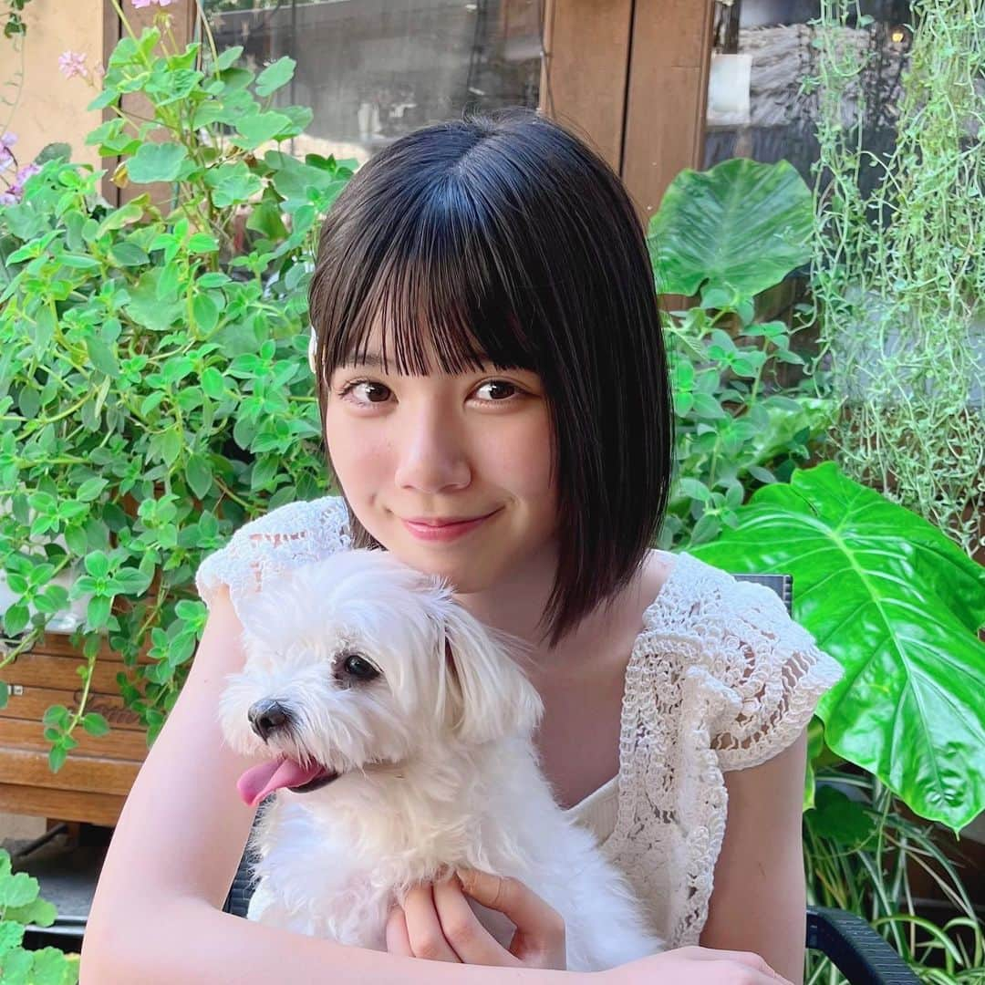 伊藤沙音さんのインスタグラム写真 - (伊藤沙音Instagram)「🧁🐶  伊豆高原のCafe行ったよ🐶🍴  もふもふピノとパシャリ！📷´-  ランチは何を食べたでしょ~？🫶 @kennyshousecafe   今日もInstagram遊びに来てくれてありがとう🎀  ∴ ୨୧ ∴∵∴ ୨୧ ∴∵∴ ୨୧ ∴∴ ୨୧ ∴∵∴ ୨୧ ∴∴ ୨୧ ∴∵∴ ୨୧ ∴ 8月20日（日）11時〜インスタライブします🩷 みんな遊びに来てくれるの楽しみにしてます！   #伊藤沙音 #シャノン#伊豆高原 #家族旅行   #ニコラ #nicola #ニコモ #ニコラ9月号発売中  #ノーマルカメラ#マルチーズ#もふもふ犬」8月17日 18時44分 - shannon_ito_official