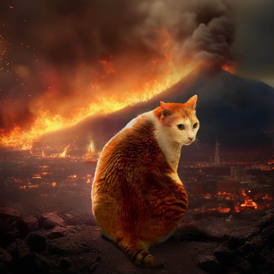 黃阿瑪的後宮生活さんのインスタグラム写真 - (黃阿瑪的後宮生活Instagram)「阿瑪：「火山爆發啦！！」  貓咪降落地球後，不但佔領了地球，阿瑪和後宮們還展開各自的奇幻探索之旅⋯⋯看火山、賞櫻花、看雪，這一切都記錄在今年的瑪瑪掛曆《貓之旅》  《2024瑪瑪年曆組》＋新書《最珍惜的時光》 限量2000組 預購開跑啦！  今年跟新書一起預購，還有以前沒有的改版！ 桌曆改成雙面都有超大的貓咪圖片～ 掛曆是奇幻的貓之旅，每隻貓都到不同地方探險！ 手帳贈送電子版手帳，用平板寫手帳超方便！ 預購年曆組贈送全年曆一張～是超大張的阿瑪。 還有閃閃發光的瑪瑪龍年金幣，每年都可以蒐集喔！  圖片太多放不完，可以去瑪瑪商行看喔！ 預購只到9/15(五)，結束後就沒有囉，錯過再等一年！  #預購連結在主頁  @fumeancat #瑪瑪商行預購中 . . . #2024年曆組 #龍年金幣 #最珍惜的時光 #新書 #手帳 #電子版手帳 #桌曆 #掛曆  #黃阿瑪的後宮生活 #瑪瑪商行 @fumeanstore」8月17日 19時00分 - fumeancat