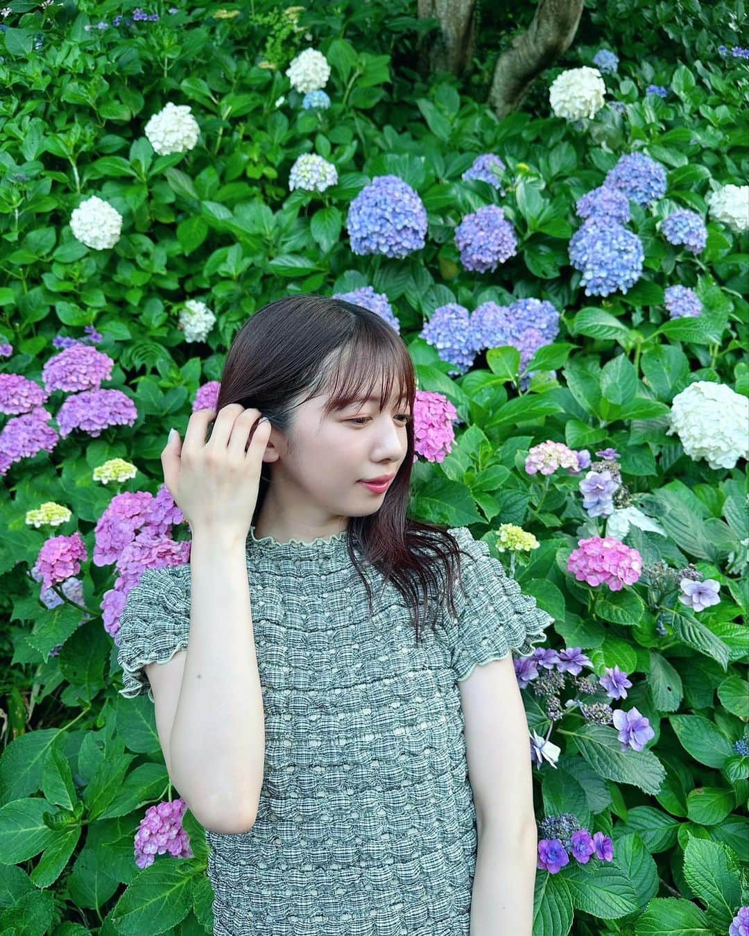 真山りかのインスタグラム：「. ⁡ 季節が通り過ぎてった〜🌀 ⁡ #紫陽花 #鎌倉 ⁡ #まやまにあ ⁡ .」