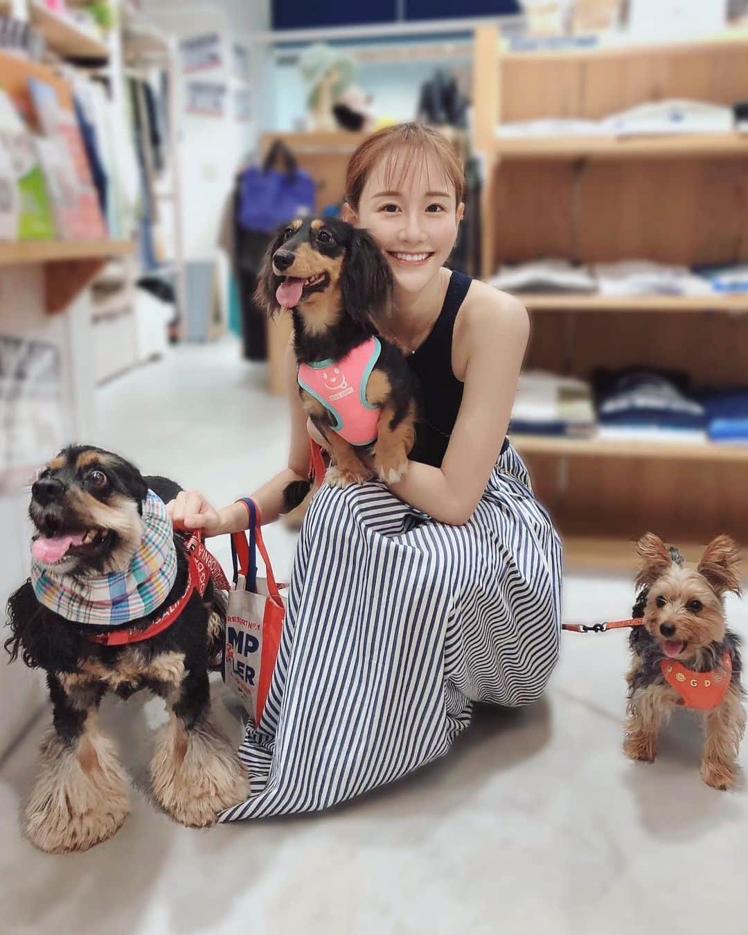 今西由記（ゆきぴ）さんのインスタグラム写真 - (今西由記（ゆきぴ）Instagram)「うちの子 🐶🐶🐶  #うちのこかわいい」8月17日 19時17分 - alive_yukipi