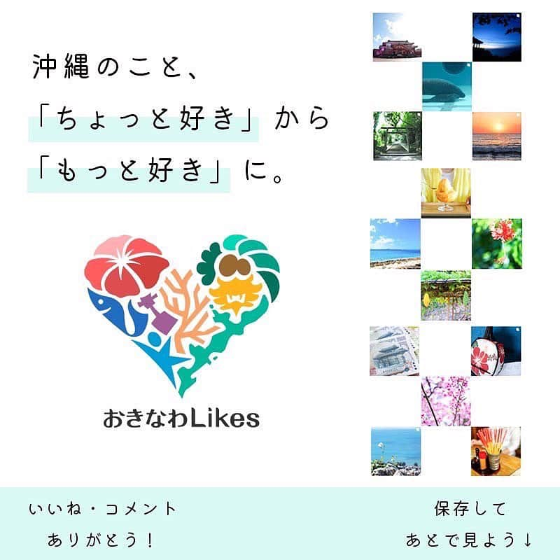 おきなわLikesさんのインスタグラム写真 - (おきなわLikesInstagram)「8月17日、、、817、、 そう！8（パ）17（イナ）ップル！ #パイナップルの日 〜〜🍍🍍💛  みなさん、推しのパイン、ありますか？ 今年もうパイン食べましたか？？  夏のフルーツ！ってイメージありませんか？ 意外や意外‼️ 収穫のタイミングが秋冬に来る品種もあるんだそう、、🧐📝  でもやっぱりおすすめは太陽の光をいっぱい浴びた 夏のパイナップル！ ということで〜！！ おきなわLikes編集部が実際に選んで！食べて！ おすすめランキングを作ってみました💛 ※パイン農家さん、美味しいパインを 本当にありがとうございます😭  今回は編集部が#ナゴパイナップルパーク、 道の駅許田、その他スーパーを巡って 買ってきて食べくらべしましたっ！🤤🍽️  食べくらべたのは次の3種🍍 ①ハワイ種　完熟 ②ハワイ種　食べごろ ③スナックパイン ④ゴールドバレル 本当はもっと集めたかったんだけど、台風の影響で🥲  さてさて、 パイナップルって追熟しないんだそう👀 収穫後も放っておけば熟れていく、 果物ではないそうなんです💦  食べごろと言われるのは、 下1/3が黄色く色づいてきているものなんだって！✨ なので！ハワイ種も食べごろと完熟、食べ比べてみたよ💛  ↓↓↓  ＼おきなわLikes おすすめパインランキング／ 🥇1位　断トツの甘さ！【#ゴールドバレル 】  🥈2位　意外と県民も食べたことない？カットのお手間もなく手軽に食べられる【#スナックパイン 】  🥉3位　食べ慣れた味が嬉しい！【ハワイ種の完熟】  🎖️4位　これぞパイナップルらしい酸っぱさでスッキリした味わい【ハワイ種の食べごろ】  📣ストーリーズで質問してるので、皆さんも食べてみたいもの教えてね📣  今回ナゴパイナップルパークさんに パイナップルの勉強をしに行ってきたんだけど、、、 沖縄に住んでいながら全然知らない 「へぇ〜！」なことばかり🥺  @nagopineapplepark さん、 色々教えて頂き、ありがとうございました😊  ちなみに☝️ パイナップルの「そのまま食べられる」ところは 全体の50%くらいなんですって。 その他はどうしてるの？？ 気になりますよね〜！！！😉ね？！ それはまた追々、、、📝  そういえば！8月は観光月間で、お盆シーズン🏮 （沖縄の旧盆は8月末ですね🌕）  パイナップルはカットフルーツでも丸ごとでも、 道の駅や県内スーパーでまだまだ販売されているので、 県外から来た方も、 もちろん県民の皆さまも、 県産フルーツを楽しんだらいいさぁ〜🤤🍍  購入場所 📍ナゴパイナップルパーク 📍道の駅許田 📍西町りうぼう  ✜ 𖣯 ✜ 𖣯 ✜ 𖣯 ✜ 𖣯 ✜ 𖣯 ✜ 𖣯 ✜ 𖣯 ✜ 𖣯 ✜  沖縄のこと、「ちょっと好き」から「もっと好き」に。  フォローしてね🌺 @okinawa_likes  ✜ 𖣯 ✜ 𖣯 ✜ 𖣯 ✜ 𖣯 ✜ 𖣯 ✜ 𖣯 ✜ 𖣯 ✜ 𖣯 ✜ #おきなわLikes #沖縄 #沖縄観光 #沖縄旅行  #沖縄好きな人と繋がりたい #okinawa  #パインの日 #フルーツ好き #lovepineapple #pineapple  #パイナップル」8月17日 19時24分 - okinawa_likes