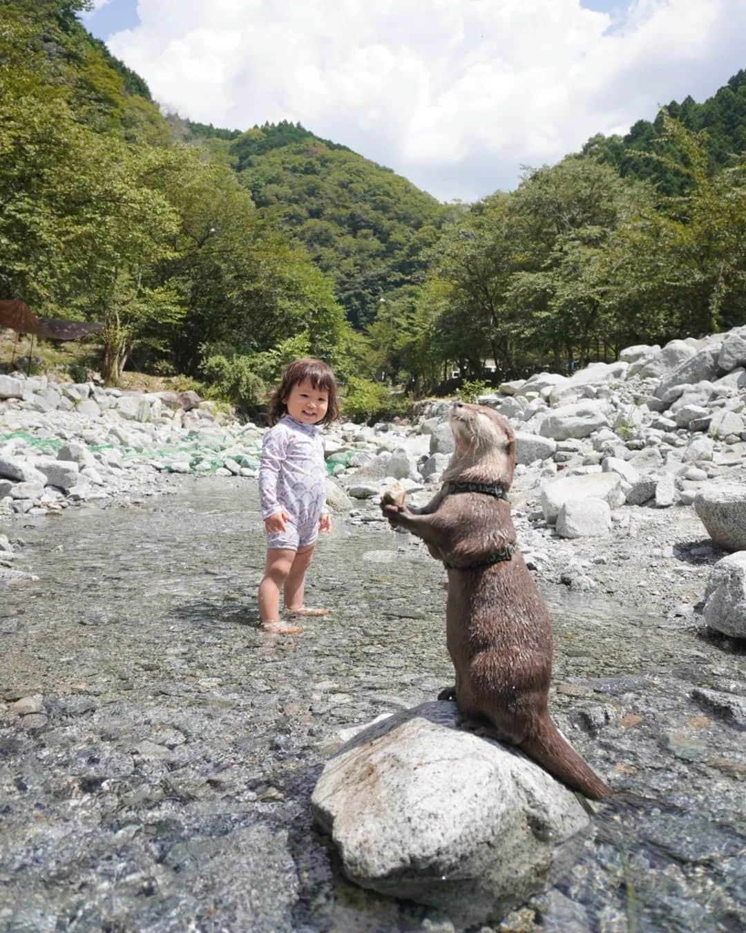 芳美リンさんのインスタグラム写真 - (芳美リンInstagram)「カワウソAty&Uiと川遊び🏕🦦  間近でAtyがご飯食べるのを興味深そうに見ていました。  食事中は触らないでね。って伝えたけど、 本能的に邪魔しちゃだめと分かるのか？  一定の距離を取っていました👏  #大滝キャンプ場 #アウトドア女子#Aty#カワウソAty #カワウソUi#カワウソ #KEENjapan#アウトドアトドラー #outdoortoddler#旅育」8月17日 19時47分 - lynn.lynn5