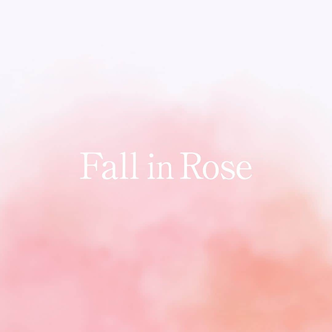 ジョンマスターオーガニックさんのインスタグラム写真 - (ジョンマスターオーガニックInstagram)「. Fall in Rose  晩夏に訪れる 新しい季節の気配とともに  優雅なダマスクローズの香りと 潤いで満たされる癒しのバスタイムを過ごしてみては  8.17 debut R＆Gシャンプー ローズ  #johnmastersorganics  #ジョンマスターオーガニック  #sustainable #シャンプー #オーガニックコスメ #ヘアケア #アロマ #サステナビリティ #バスタイムルーティン #スキャルプケア #乾燥 #潤い #乾燥対策 #地球に敬意を #香りのある暮らし #ローズ #秋ヘアケア #色落ちいないシャンプー #ヘアカラー持ち #秋抜け毛 #紫外線髪の毛 #髪ダメージケア #傷んだ髪自宅ケア #バスタイム #ゆらぎ髪シャンプー」8月17日 20時09分 - johnmastersorganics_japan