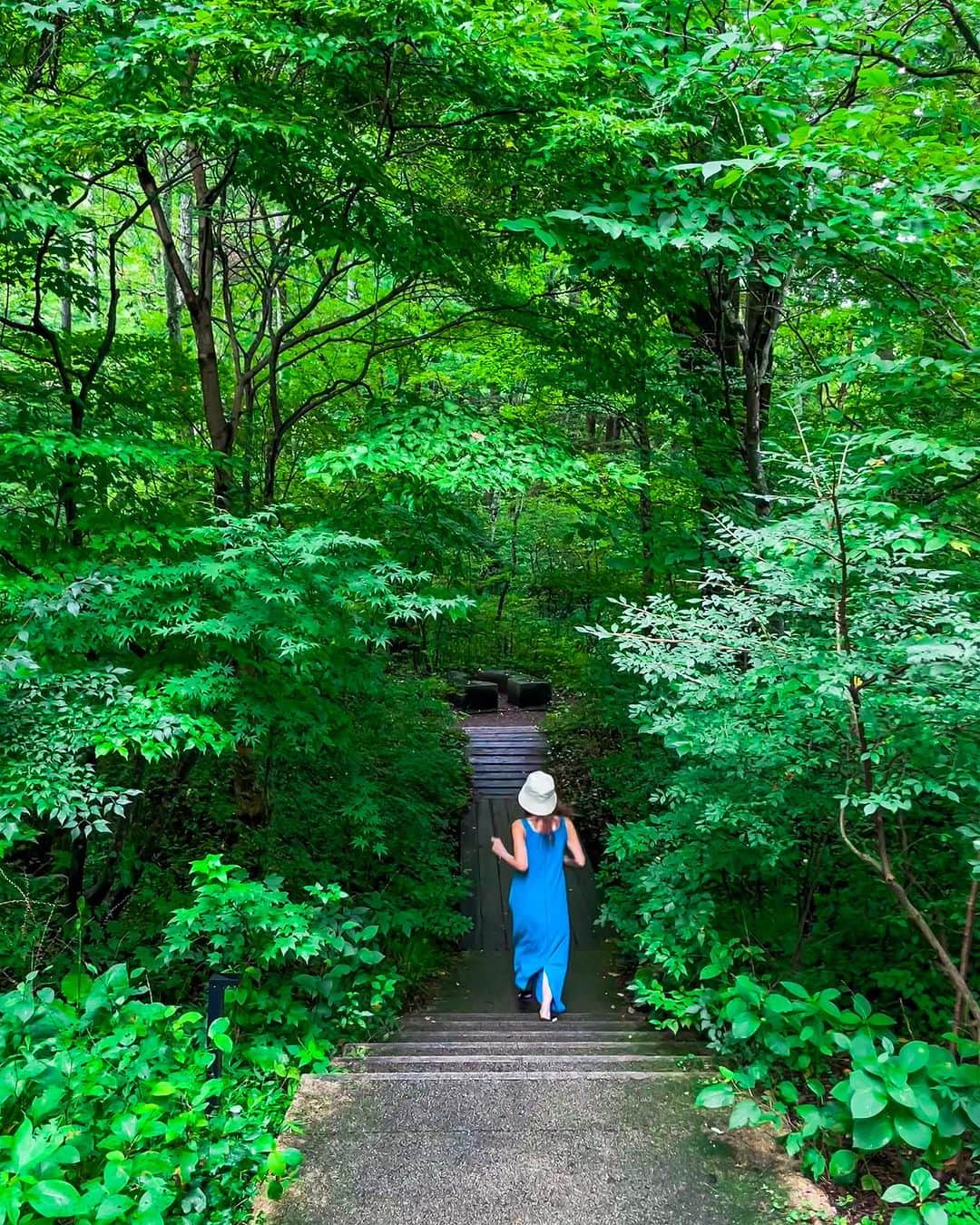 宏実のインスタグラム：「避暑る軽井沢。  #karuizawa #ハルニレテラス  #白糸の滝 #５つ目の写真は滝ではなく雨です #ライトアップ #軽井沢 #高原  #マイナスイオン」