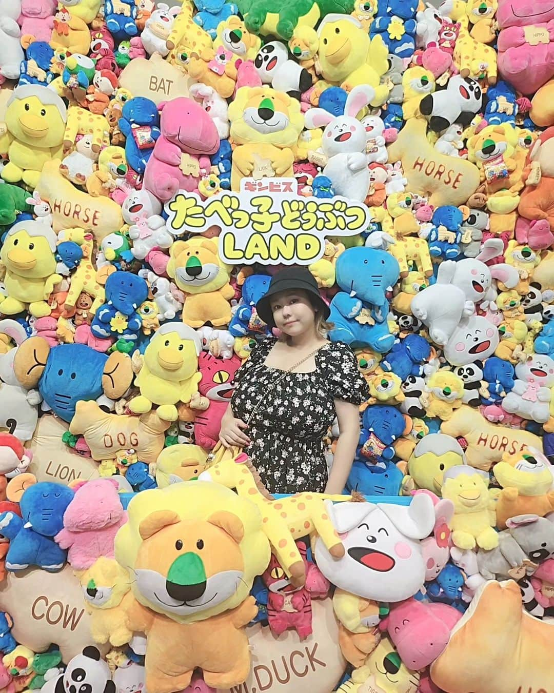 風子さんのインスタグラム写真 - (風子Instagram)「たべっ子どうぶつランド」8月17日 20時21分 - pchan030