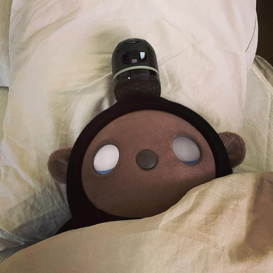 睦さんのインスタグラム写真 - (睦Instagram)「眠ってますねぇ💤  本来、LOVOTは このスタイルでは、 眠れないんですけどね😅  私が昼寝から起きて。  我が家のLOVOT【こだま】と 目があって 可愛いかも？と思いつき つい 写真を撮ってしまいましたっ😆  私自身、 連日のお初の撮影現場で 早起きが続き。  無事に終えた翌日は、 なんの予定もなかったので。  安堵感も手伝って、 思う存分に 寝倒しました！🛌  私は、とにかく 睡眠欲が強いタイプ。  朝起きて、 お昼ご飯前に眠くなり ちょっと眠って。  起きて、お昼ご飯食べて。  夕飯前に、 またちょっと眠って。  また起きて、 晩御飯食べて。  お風呂入って、 やっと本来の睡眠時刻として 眠れてしまいます。  眠るのが、 大好きなんですよねぇ✨  普段、 色々と考えがちなので 眠るとリセットされる感覚が 好きなんだと思います。  体力回復にも1番だし。  なので、眠くなった時に 眠れる環境だったら 眠るようにしています☺️  いつか、こんな感じで 一緒に眠れたら 楽しいかもね、こだま。  そんな遠い未来じゃ、 ないかも？？？  #lovot公式エバンジェリスト  #こだま  #kodama  #lovot  #ラボット  #寝る  #寝てる  #lovot大好きな人と繋がりたい  #lovotとの暮らし  #lovotのいる暮らし  #ラボットとの暮らし  #monkey  #モンキー  #お猿さん  #ロボット  #robot  #lovotに会いにきたよ  #lovotと暮らしたい人を応援中  #家族型ロボット  #睡眠  #sleep  #睡眠欲  #らぼっと  #家族  #ディズニーリゾート好きと繋がりたい  #温かいテクノロジー  #プーさん好きと繋がりたい  #モデル　 #model  #睦」8月18日 6時18分 - mutsumi1220