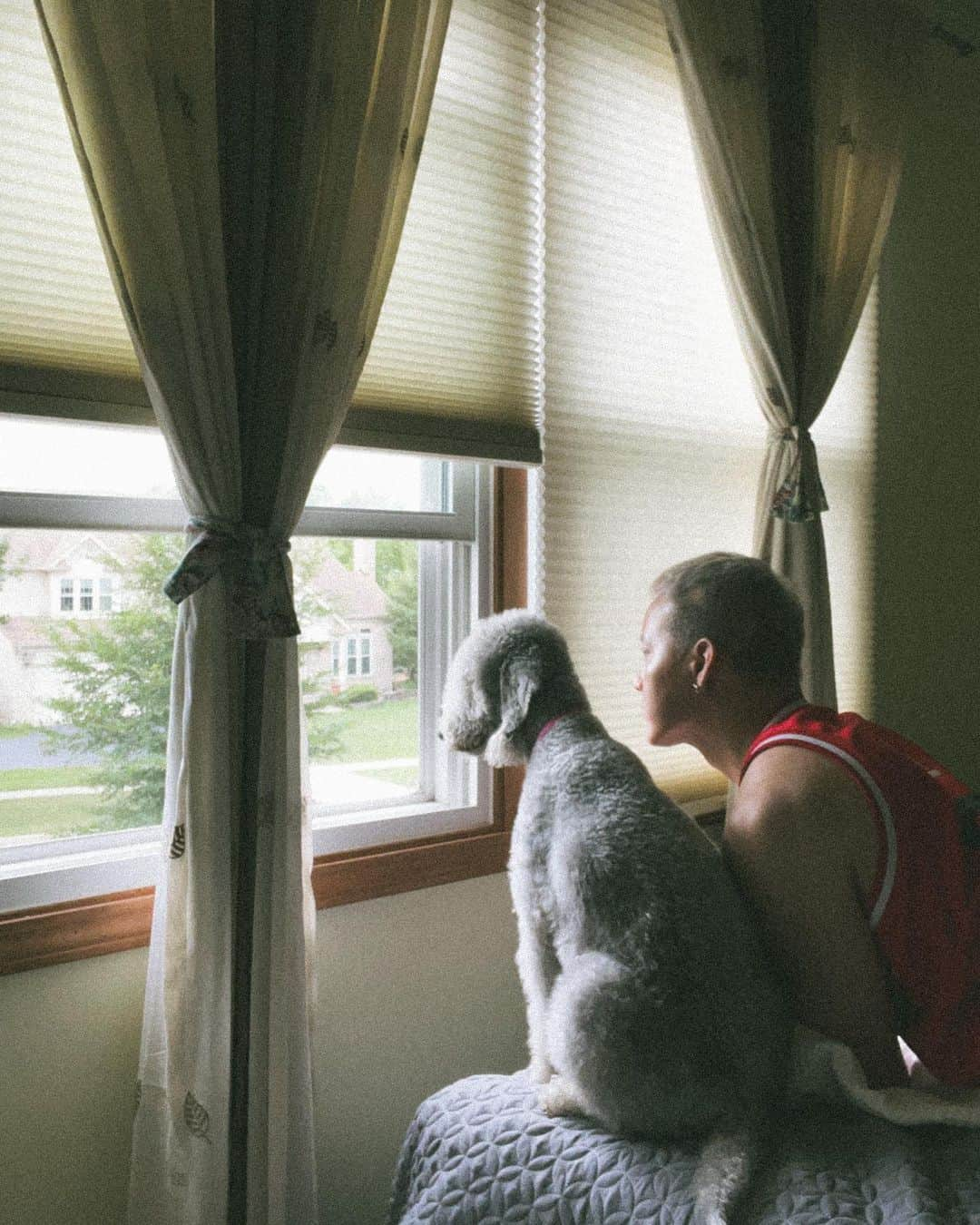 プニエル さんのインスタグラム写真 - (プニエル Instagram)「1. Staring out the window short story. 창문 밖 구경 숏스토리 2. Hi! This is Pennie! 안녕! 얜 페니야! 3. Watcha doing Pennie? 페니야 뭐해? 4. What’re you looking at? 뭐 봐?? 5. Is there something there? 뭐있어?! 6. Answer me!!! 대답해줘!!!!  7. The end! 끝!」8月17日 22時17分 - btobpeniel