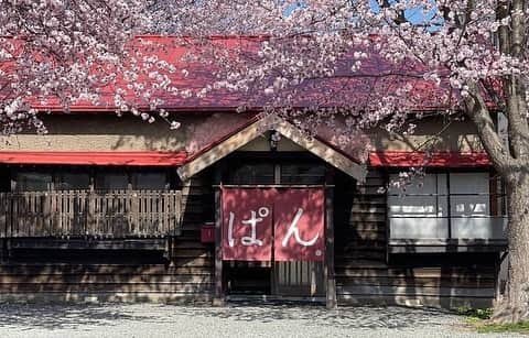 河野真也さんのインスタグラム写真 - (河野真也Instagram)「中川町の小屋に、８月の毎週末、美味しくて素敵なお店が来てくれる「こやのわマルシェ」。  8/19.20に登場するのは、札幌市豊平区にある「チェットベーカリーおもや」さん。 @chetbakeryinc   大きな桜の木がある古民家で、美味しいパンを作ってらっしゃいます。  新しい建物にはない、その場所に馴染んだ風格というものが古民家にはあります。  どのパンも美味しいですが、僕のオススメは加水率８３%の食パン！これ、大好き！  パンには北海道産小麦、生乳は長沼あいすの低温殺菌牛乳を、蜂蜜は太田養蜂場のアカシアを使う北海道へのこだわりです。  そして写真３枚目と４枚目。 月一回、定休日に販売しているスコーンも今回持って来て下さるそう！ @miles.cones   あ、中川町の小屋のすぐそばには大きなニレの木がありまして。 （札幌で行なった「サッポロの山 サッポロの木 サッポロの人」のイベントでもニレの木が主役でした。偶然！）  桜の木の下にある古民家から、ニレの木の下にあるまだ新しい小屋に場所を変えて、美味しいパンを提供して下さいます。  いつか中川町の小屋も、この古民家のような風格を持てたらいいなぁ。  #北海道 #中川町 #こやのわマルシェ #hokkaido #nakagawa #パン」8月17日 23時11分 - okurahoma_kawano
