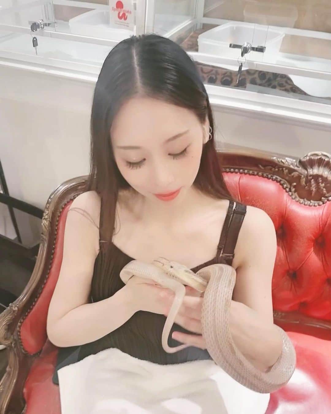 中沢ルイさんのインスタグラム写真 - (中沢ルイInstagram)「癒し…！  #tokyosnakecenter #東京スネークセンター #🐍 #蛇 #ヘビカフェ #snake #snakecafe #ヘビ活 #推し活 #渋谷 #原宿 #東京 #tokyo」8月18日 1時00分 - ruinakazawa
