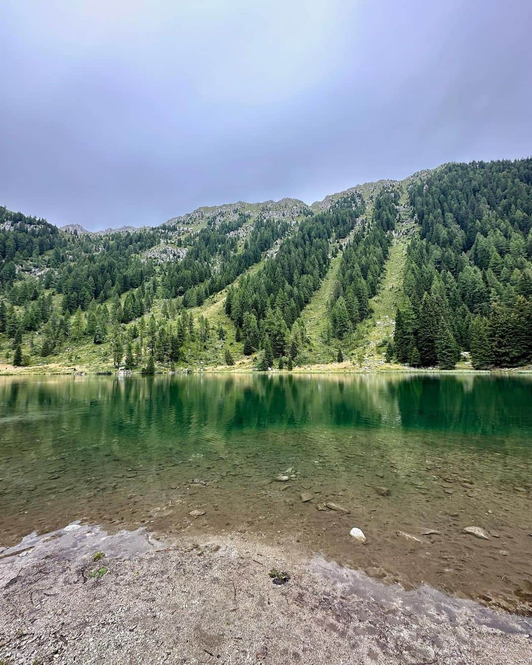 ララ・モリさんのインスタグラム写真 - (ララ・モリInstagram)「📍Giro dei 5 laghi, Madonna di Campiglio. 🦮🥾🗻✨🌦️🩵」8月18日 2時18分 - larina26