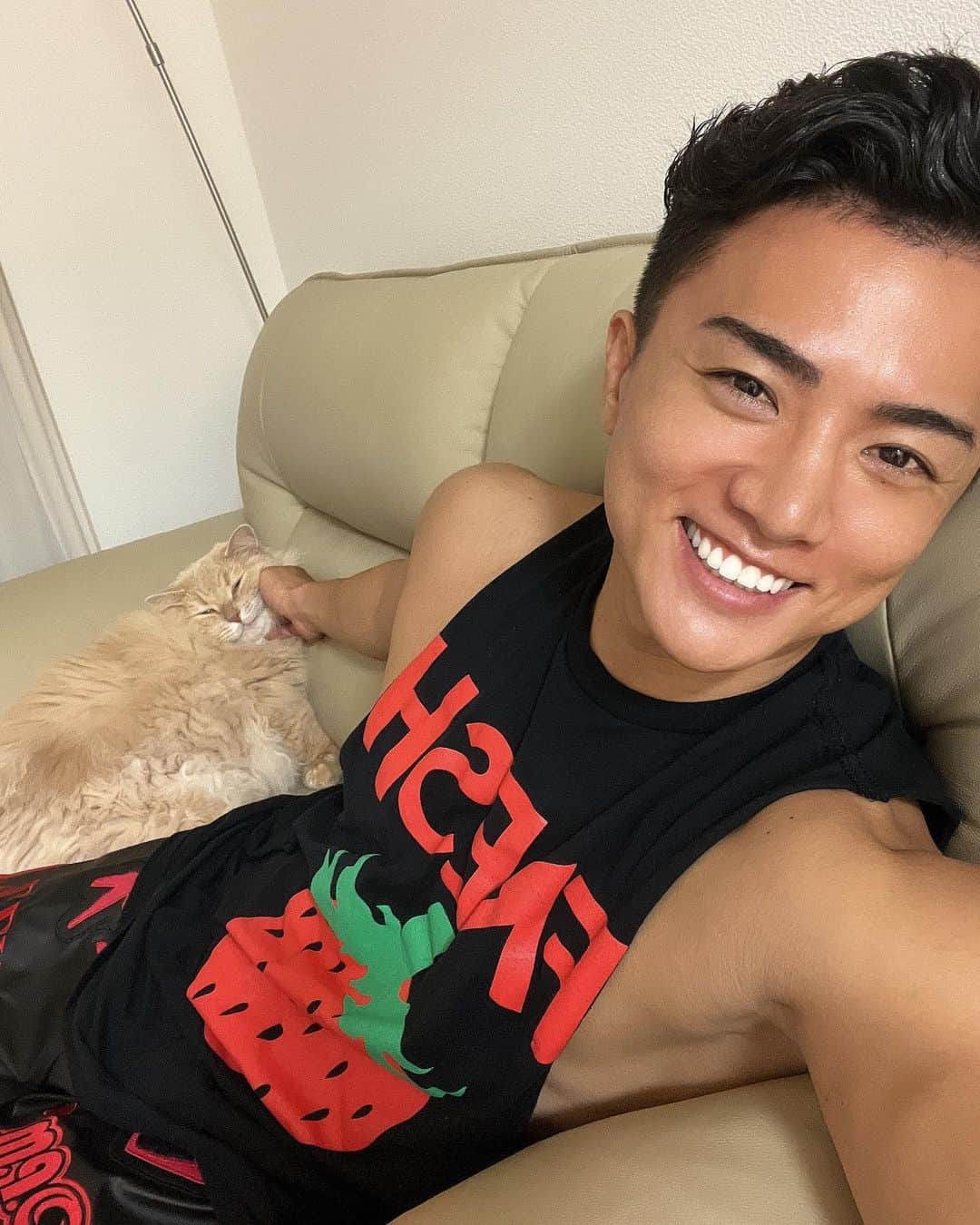 Yushi Sakuraのインスタグラム：「愛しのジェラート様🐈♡  なんか嫌なことあってもこいつ見てると癒される🍀  サイベリアンは犬好きの人にもおすすめの猫ちゃんだよ^ ^  #サイベリアン」