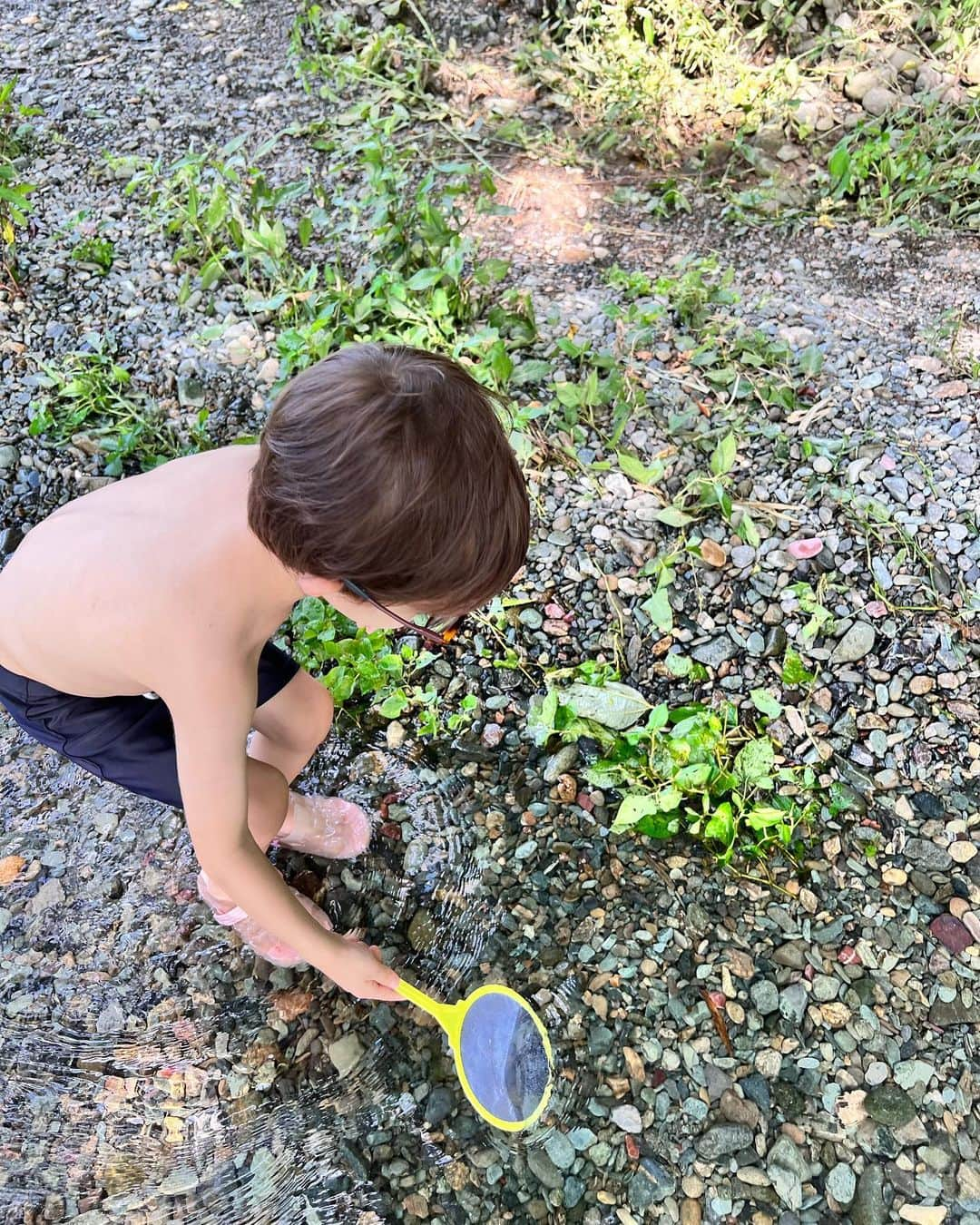 ウィリアムさんのインスタグラム写真 - (ウィリアムInstagram)「🩵  今日も川に遊びに行きました 夏休み最後の川💦💦  川魚は動きがすごく速くて 捕まえられず、小魚とおたまじゃくしとタニシを捕まえました🤣  楽しい夏休みだったな🌻 明日からは都内に戻ります👍🏻  #川遊び #ウィリアム #男の子ベビー #ハーフキッズ #キッズモデル #モニターモデル #男の子 #男の子ママ #姉弟 #男の子コーデ #babyboy #遠視キッズ #弱視 #弱視遠視 #ウィリー #instababy #ベビフル #子ども服 #プチプラコーデ #ママノワ #ママカメラ #親バカ部  #4歳キッズ  #こどものいる暮らし」8月18日 16時07分 - william.2019j